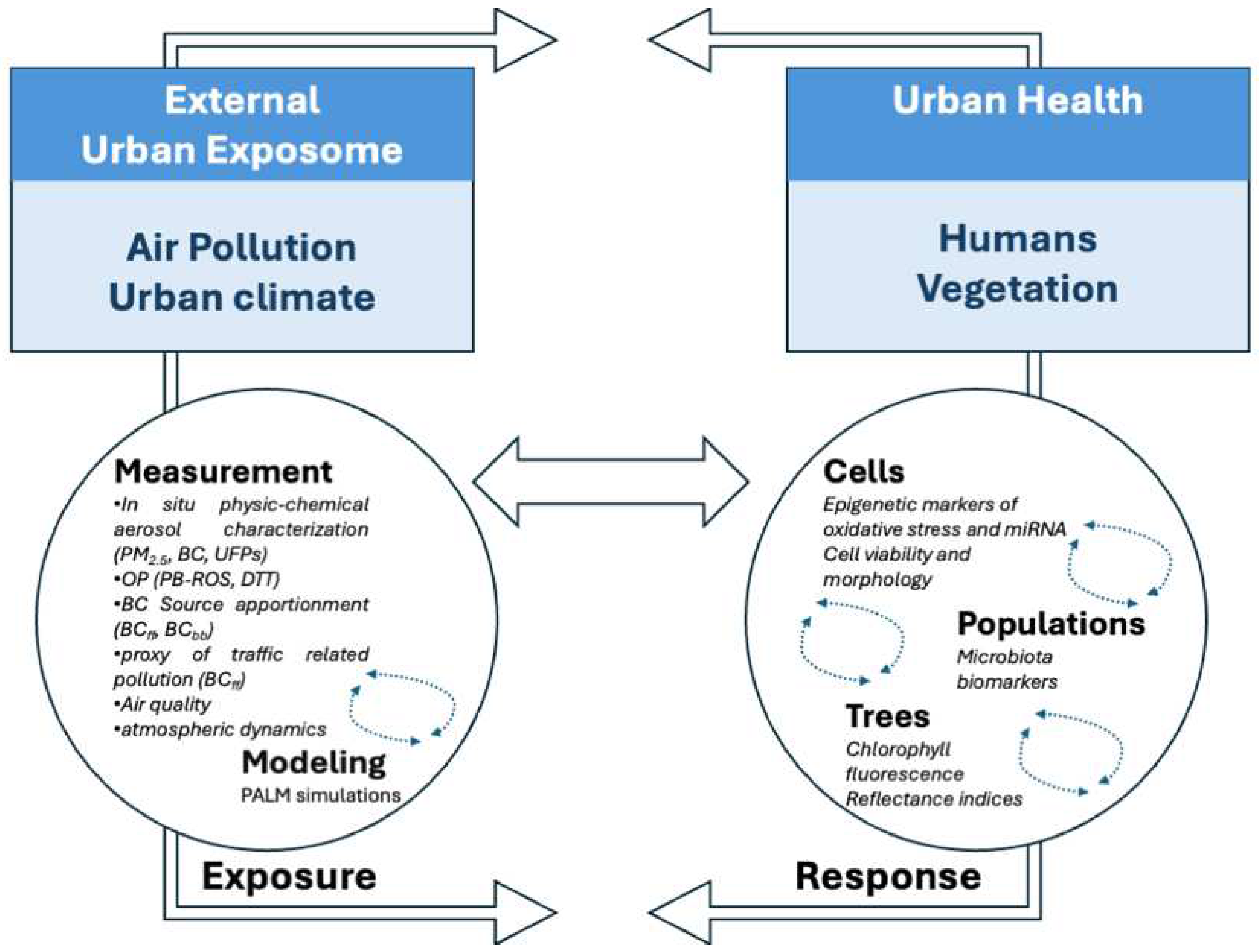 Atmosphere 16 01144 g017