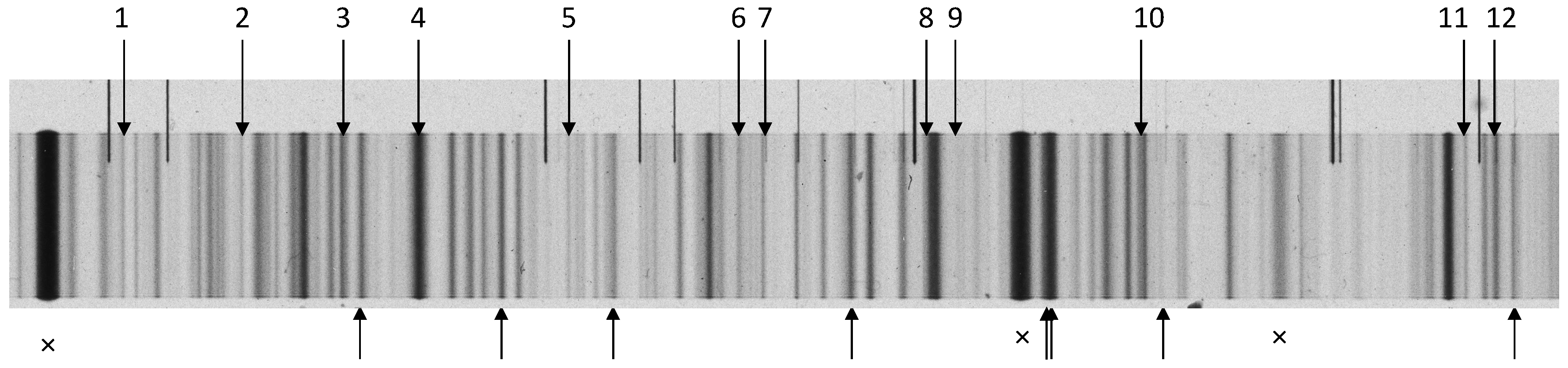 Atoms 05 00024 g001 Atoms 05 00024 g001