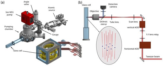 Overview of the experimental setup. (a) Vacuum system composed of a commercial atomic source, connected through a differential pumping tube to a pumping chamber which holds an ion–NEG pump, a Bayard–Alpert gauge and an angle valve. The fused silica glass science cell, where trapping and detection occur, is surrounded by two sets of magnetic coils: a pair of high-field coils providing the MOT gradient and strong bias fields for clock-state manipulation, and six smaller compensation coils that enable full three-dimensional control and active cancellation of stray fields. (b) Optical layout for tweezer generation and imaging. A high-power 
  
    813
     
    
      n
      m
    
  
 beam passes through a pair of crossed AODs to produce an array of deflected beams. A relay telescope and a high-numerical-aperture objective (NA = 0.55) couple the angular deflection to the focal plane of the objective to form an array of spatially-displaced tightly-focused optical tweezers. The same objective collects atomic fluorescence, which is separated by a dichroic mirror and imaged onto a low-noise qCMOS detection camera for single-atom readout.
