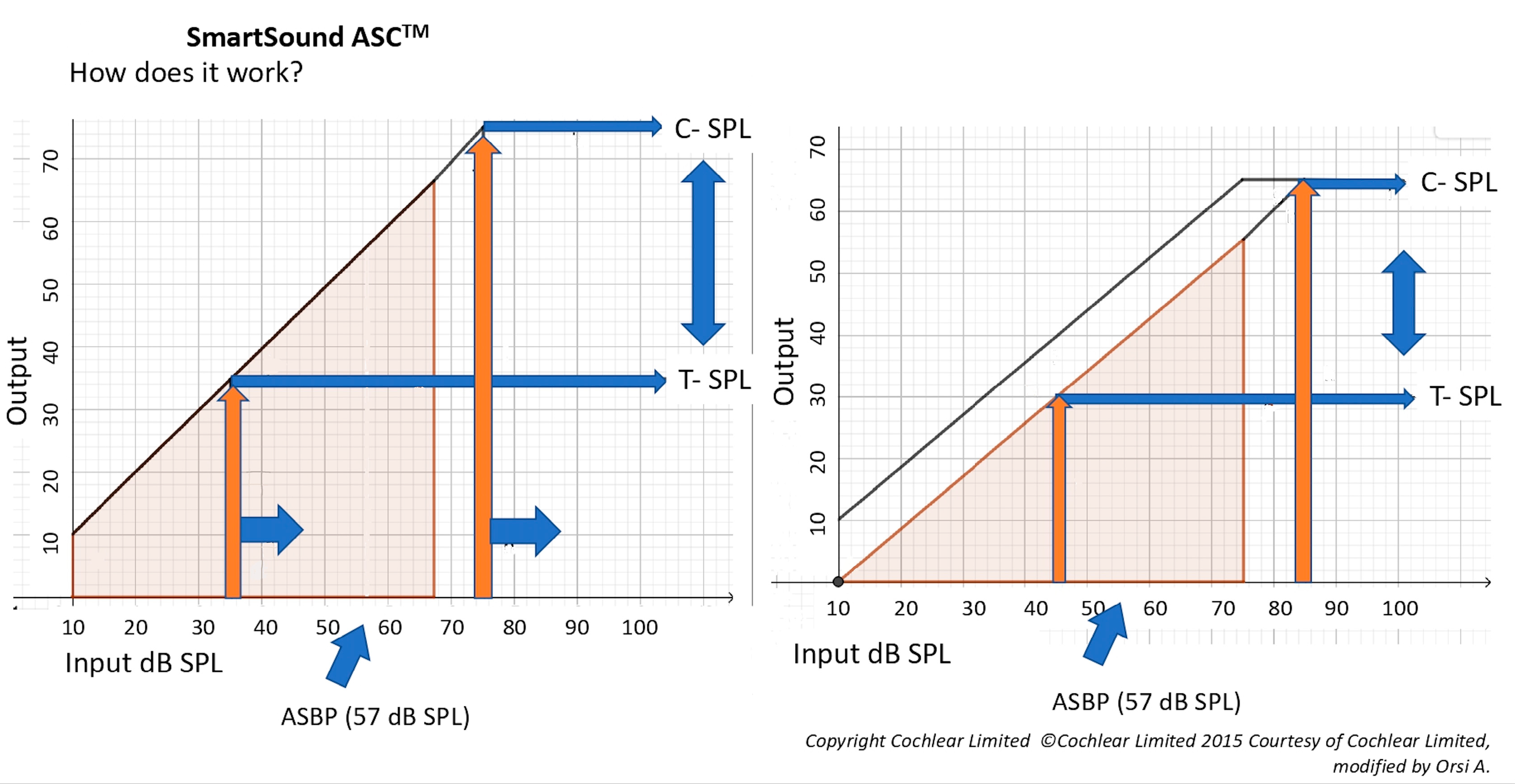 Audiolres 11 00003 g001