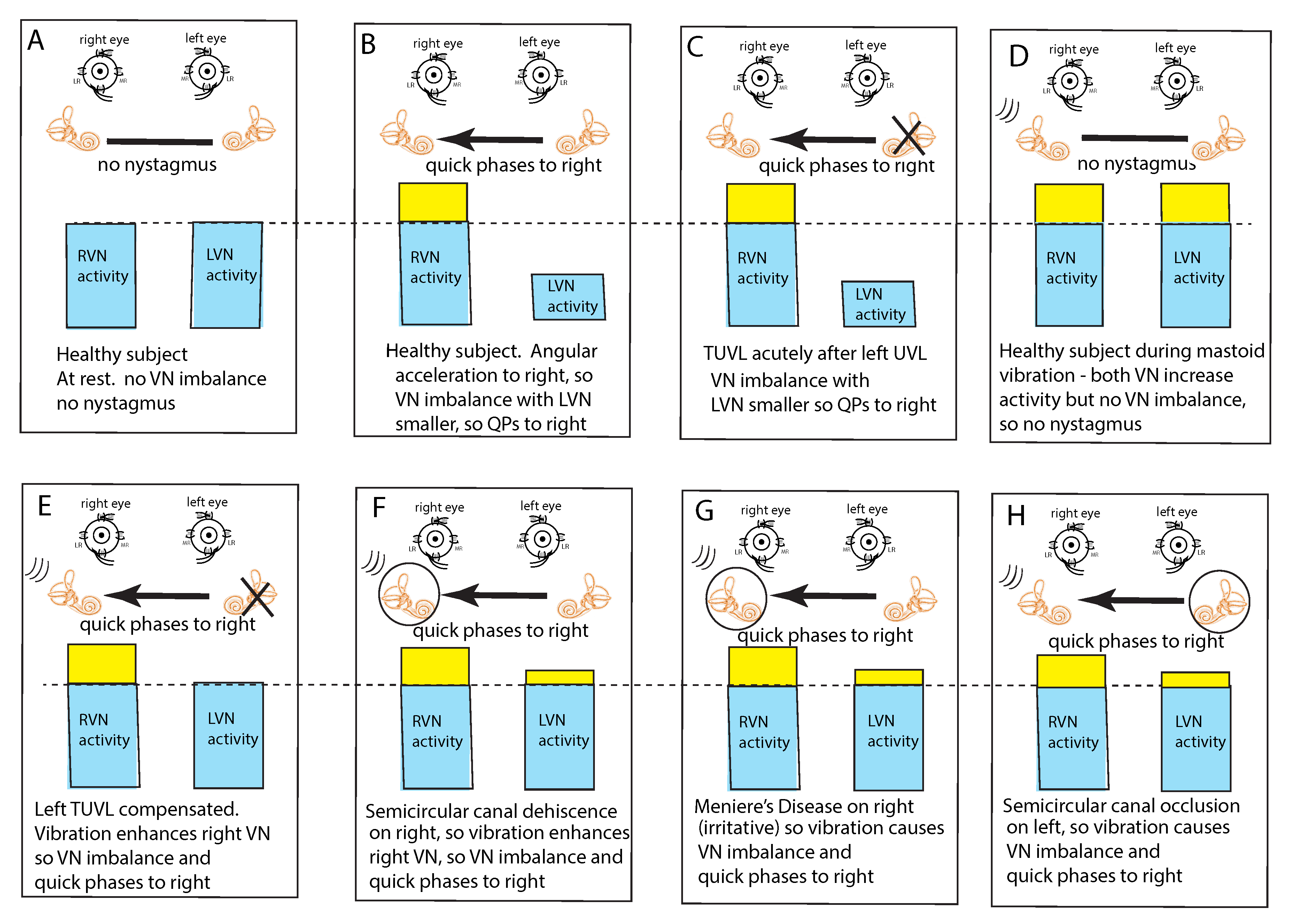 Audiolres 11 00050 g003