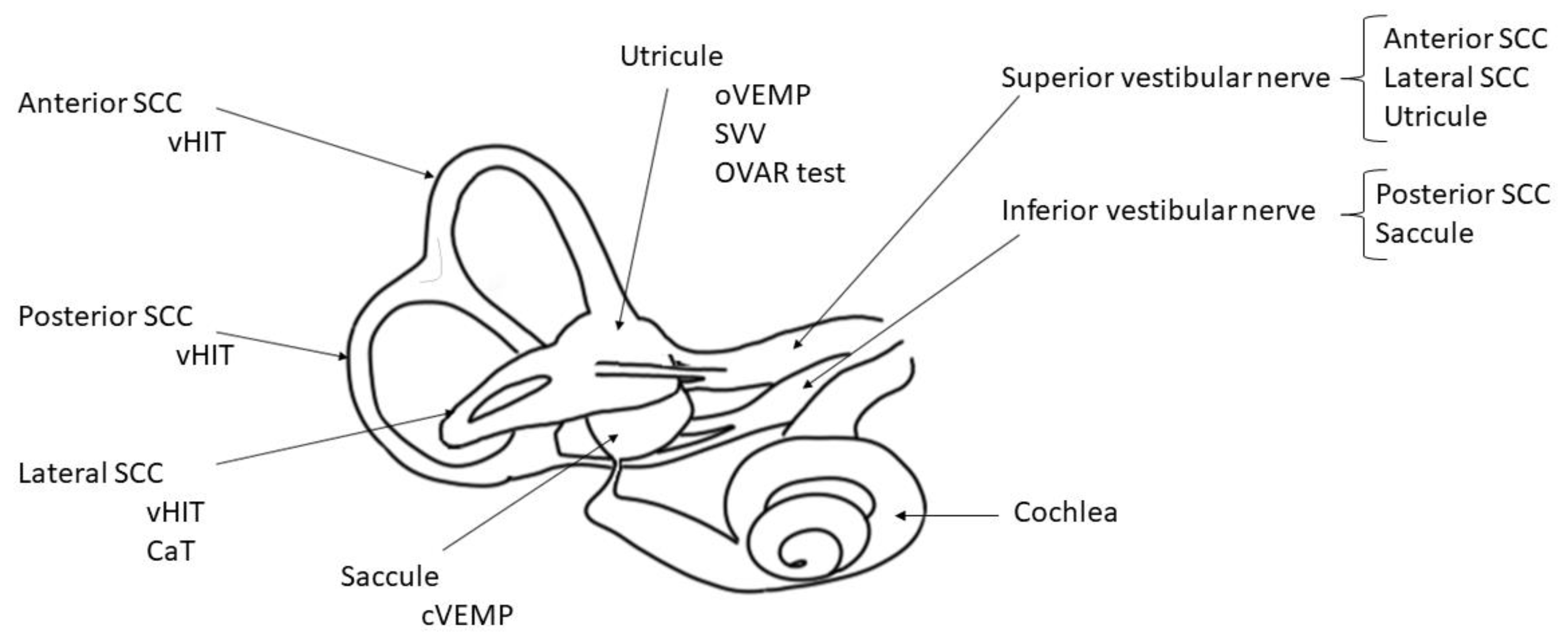 Audiolres 11 00056 g001