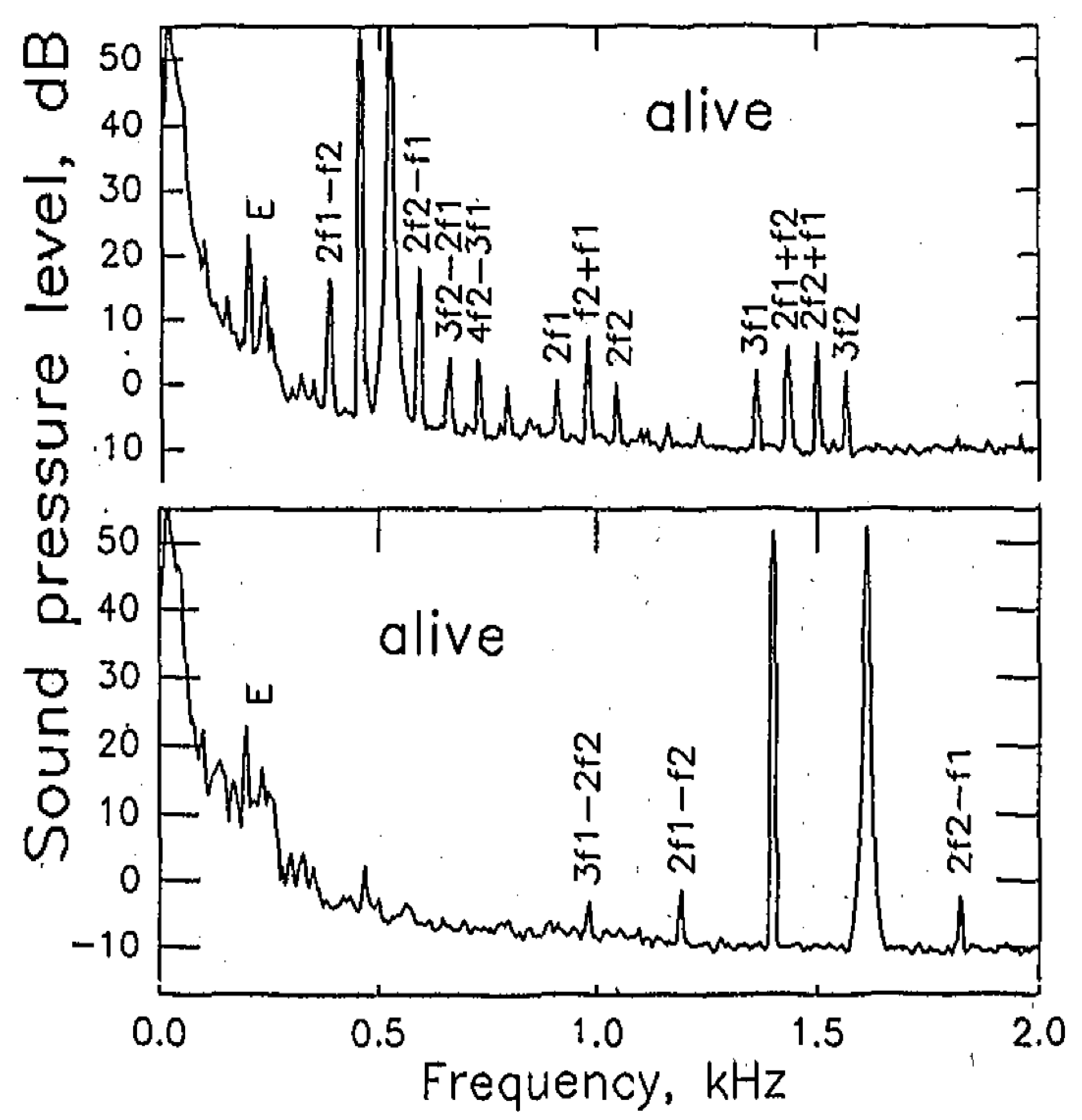 Audiolres 12 00027 g002