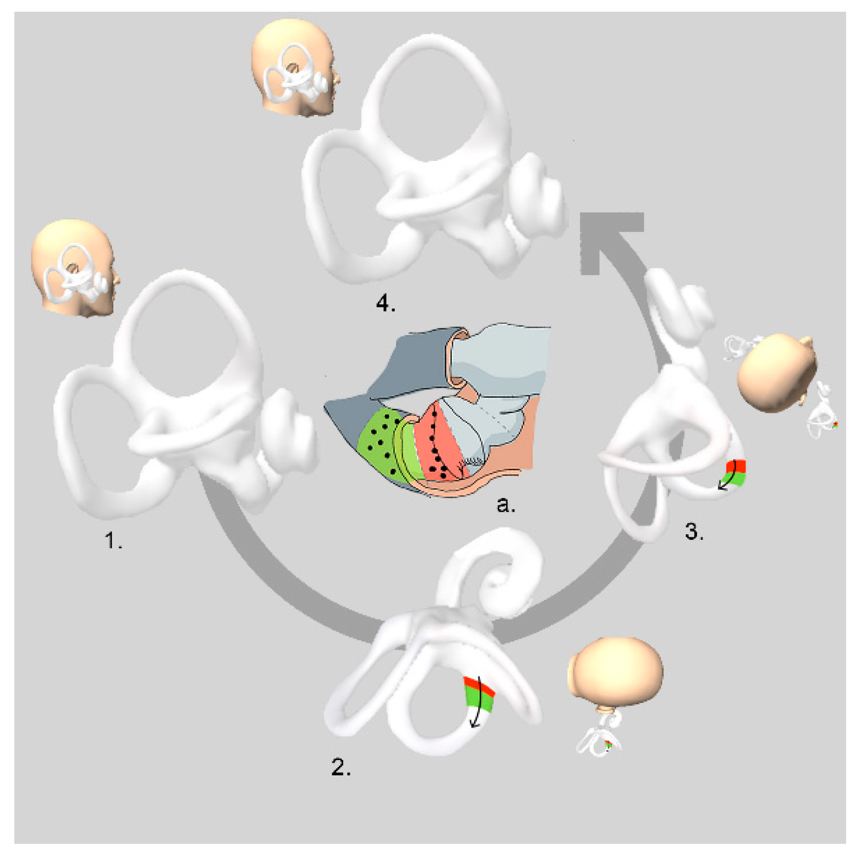 Audiolres 12 00035 g001