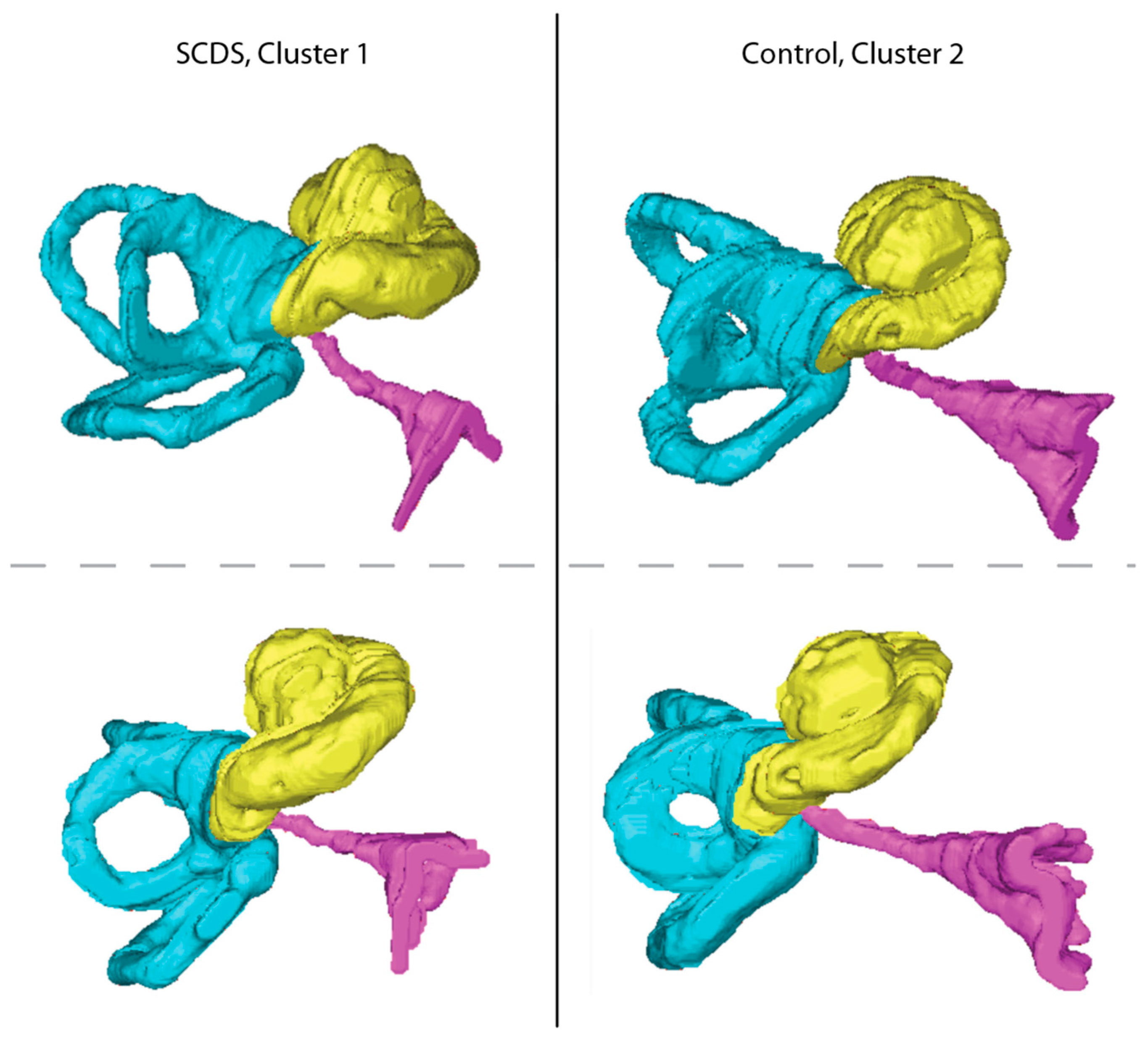 Audiolres 13 00032 g003 Audiolres 13 00032 g003