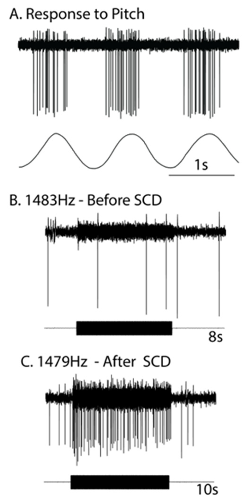 Audiolres 13 00037 g001