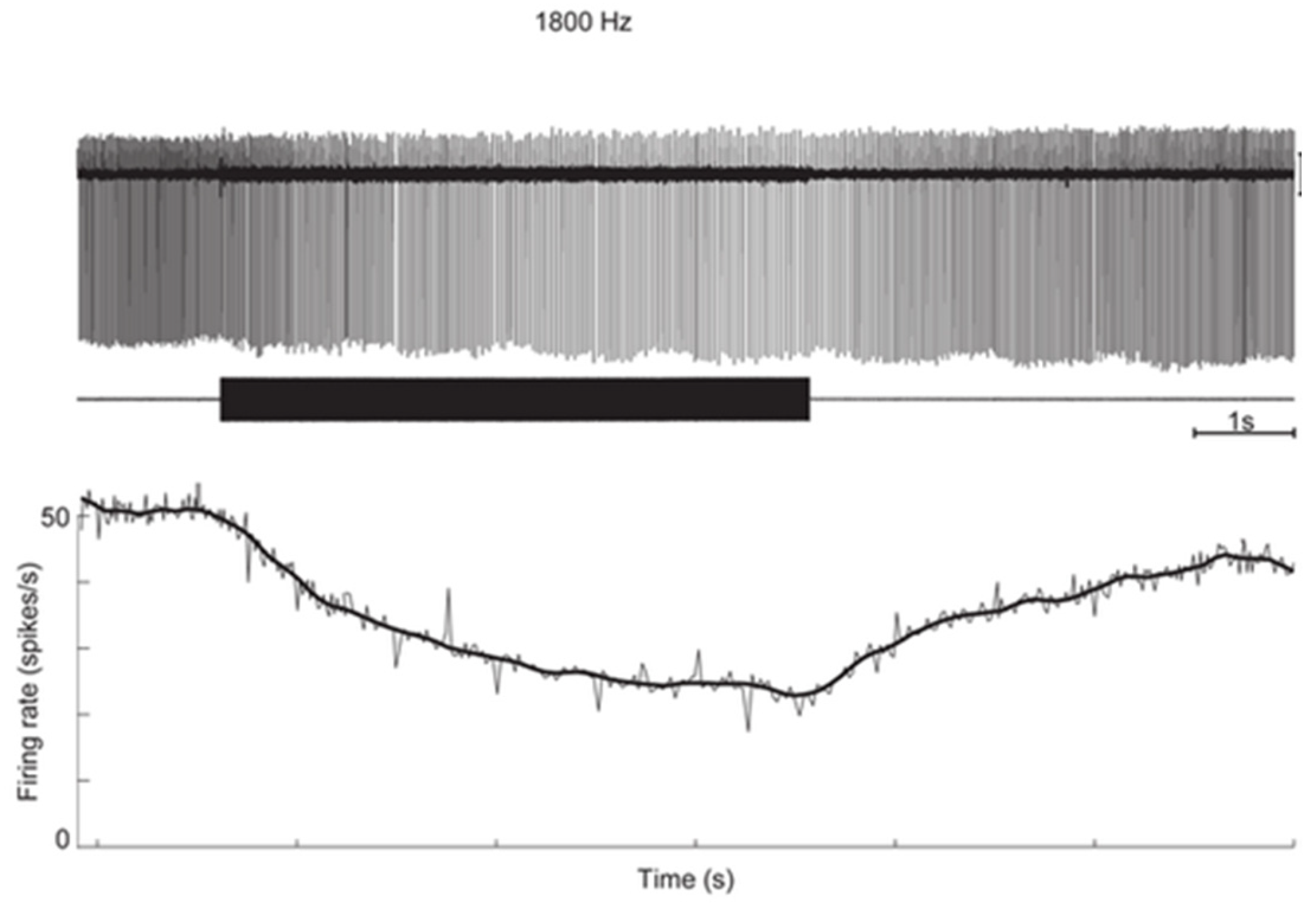 Audiolres 13 00037 g002