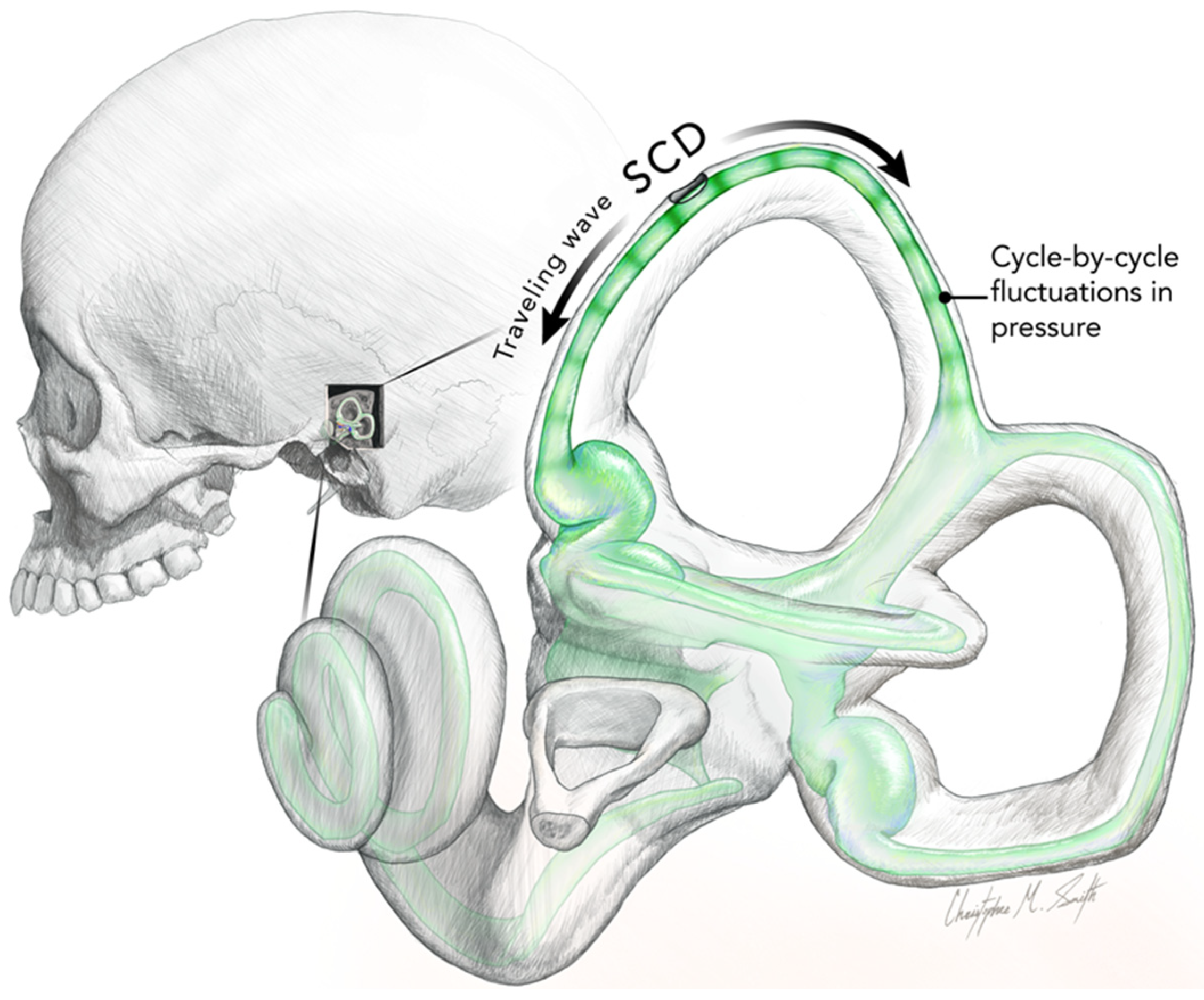 Audiolres 13 00037 g003