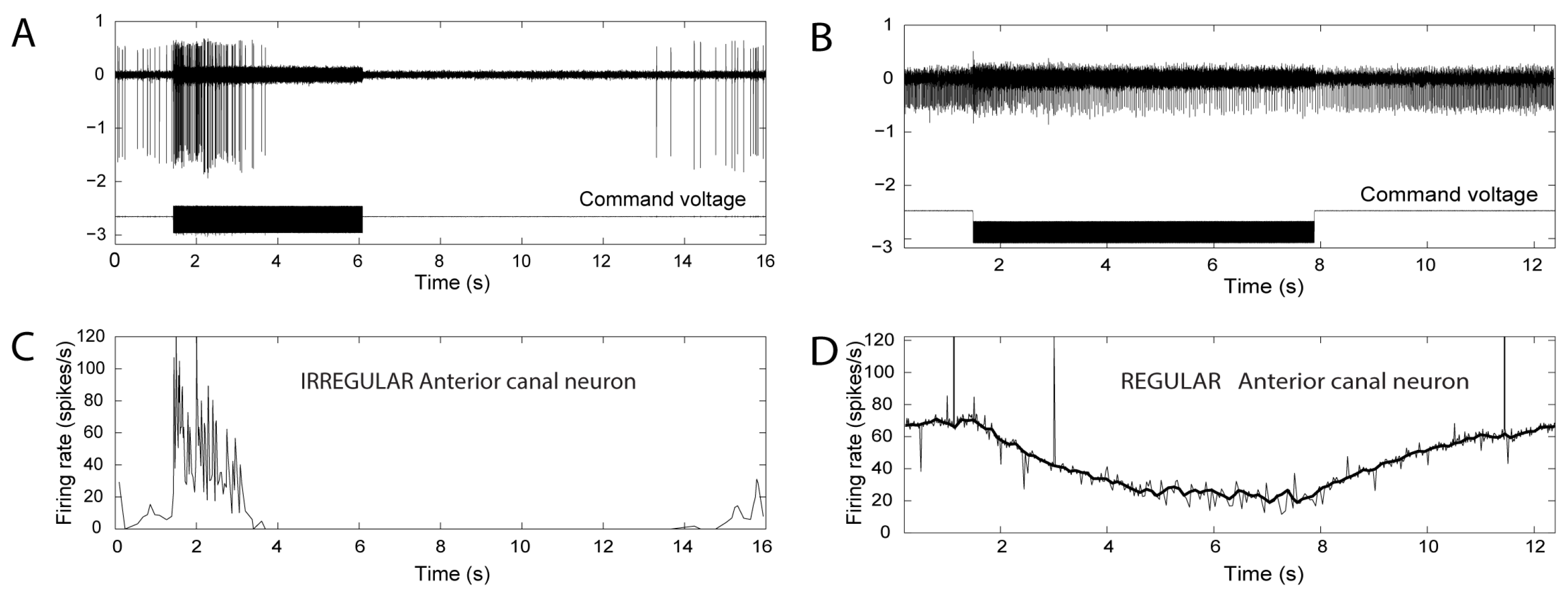 Audiolres 13 00037 g004