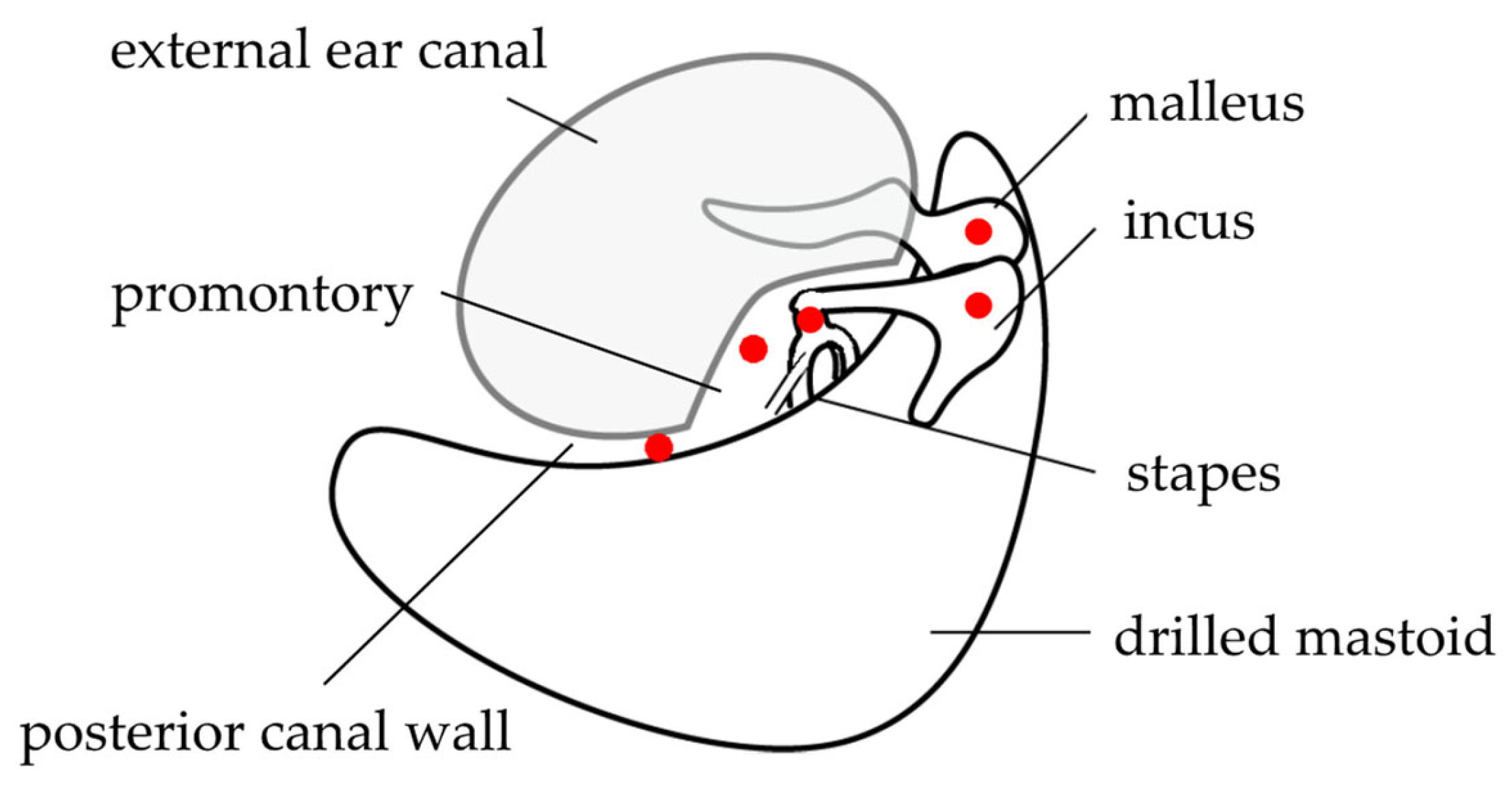 Audiolres 13 00044 g004