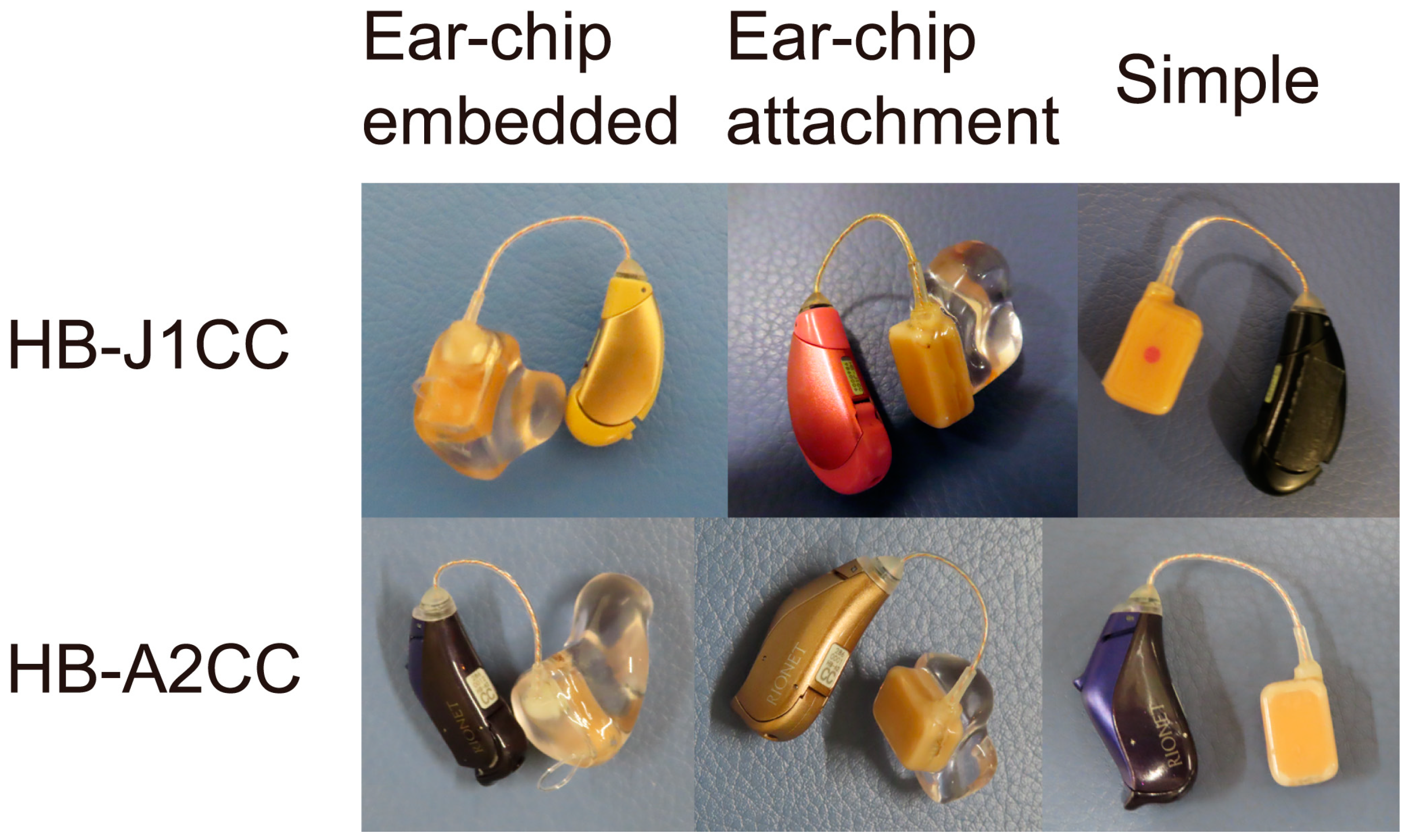 Audiolres 13 00045 g002 Audiolres 13 00045 g002