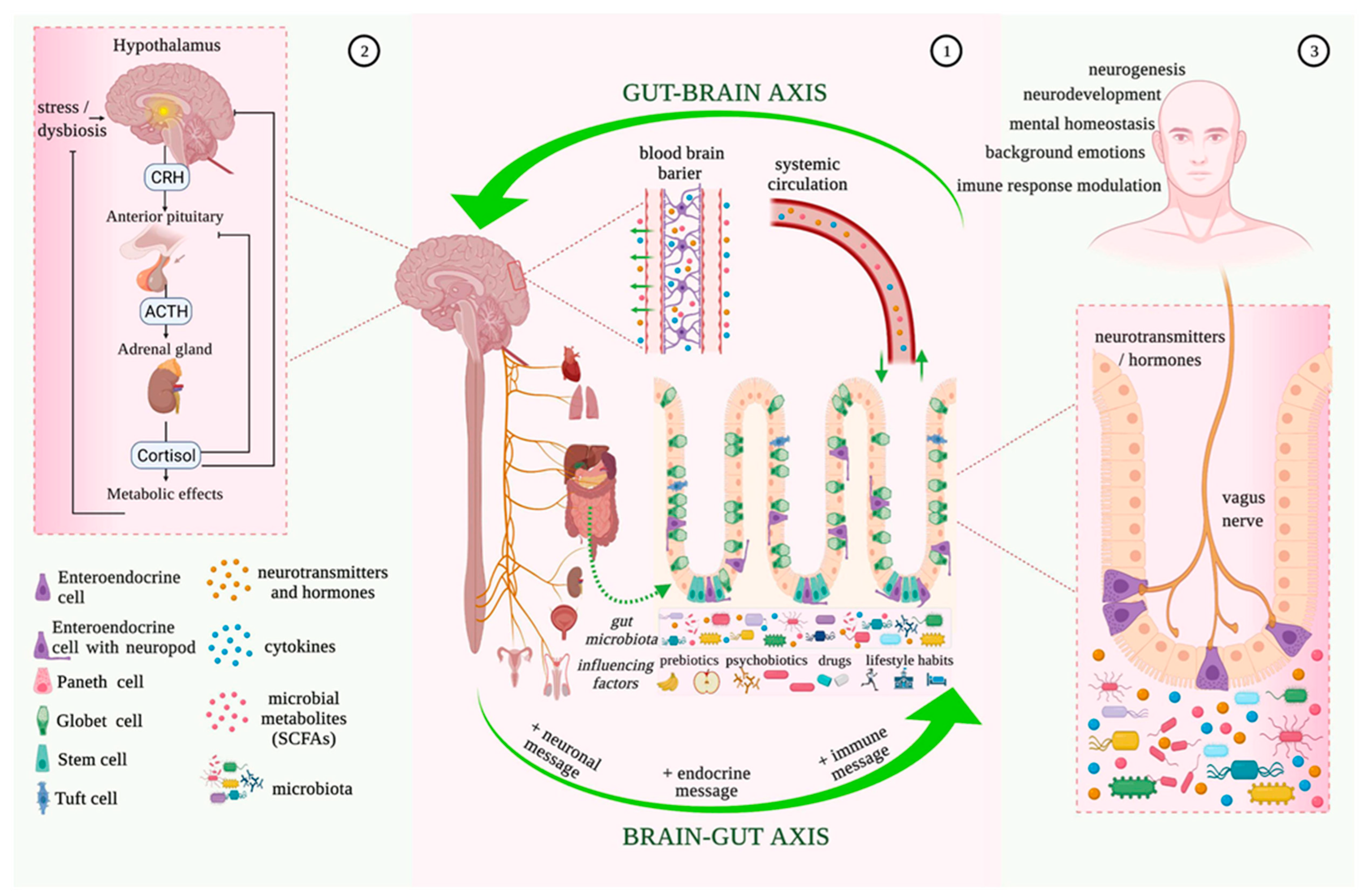 Audiolres 13 00066 g001