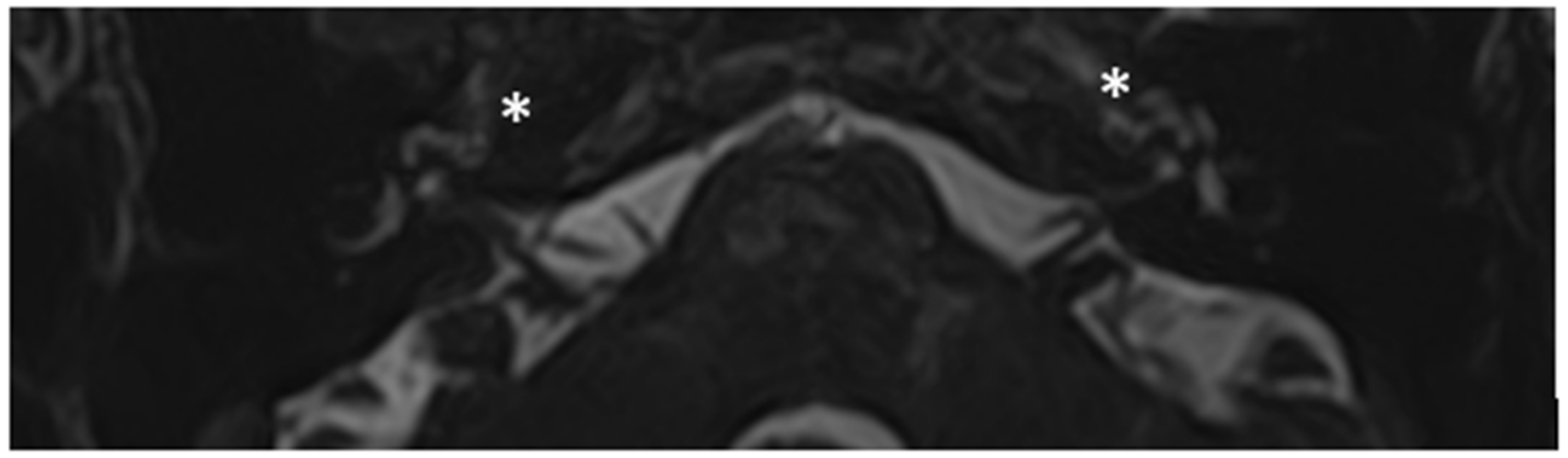 Audiolres 13 00072 g008