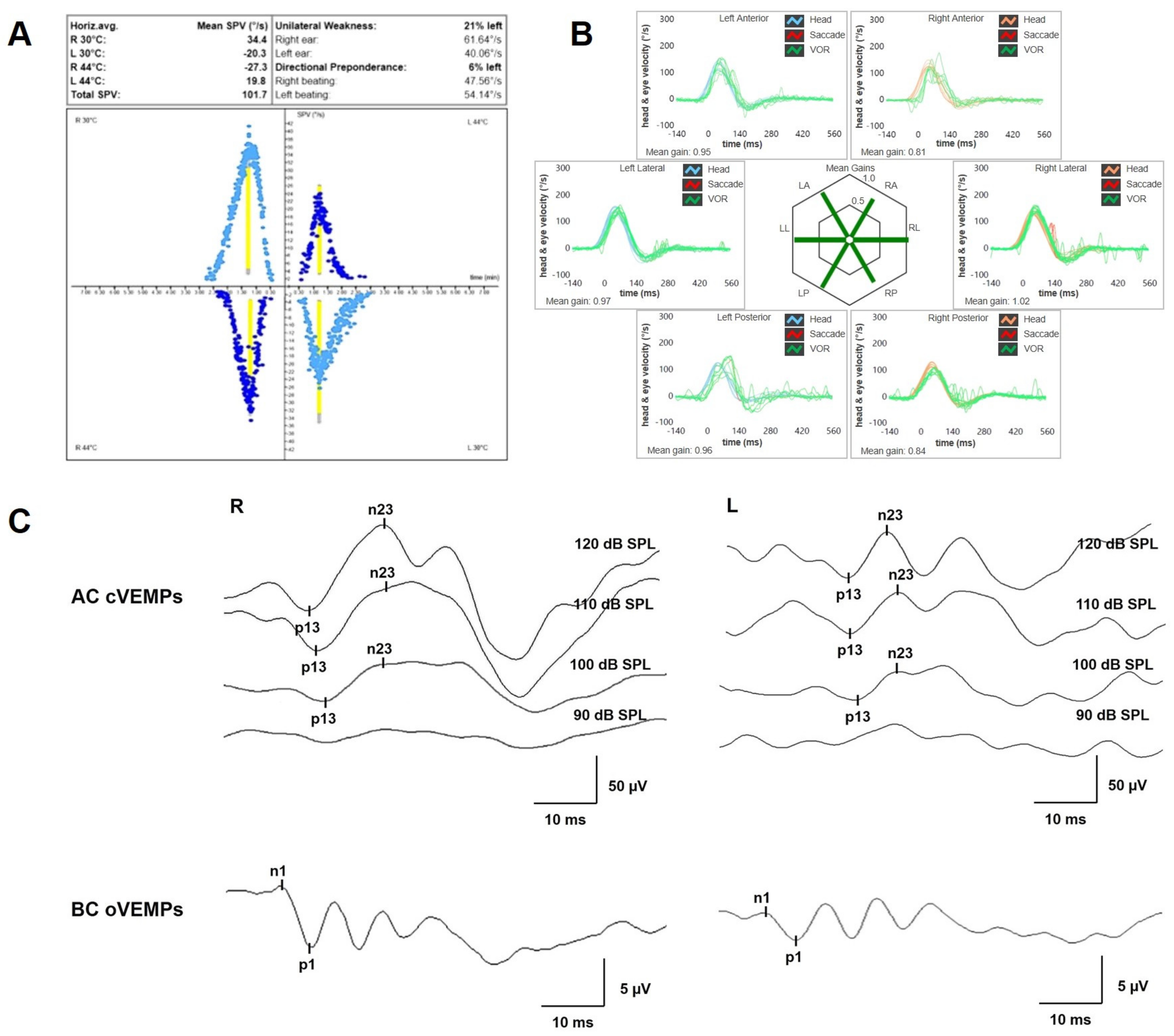 Audiolres 13 00073 g002