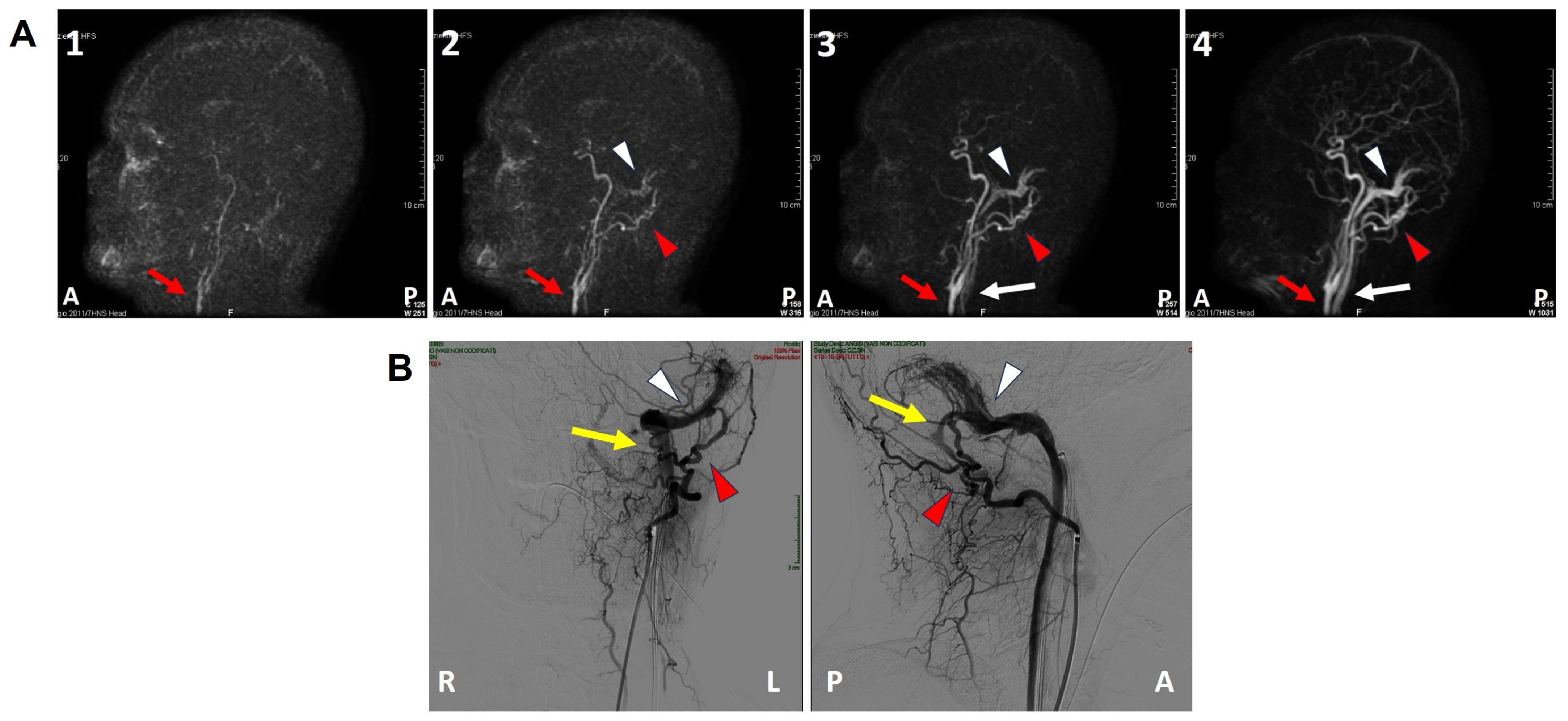 Audiolres 13 00073 g003