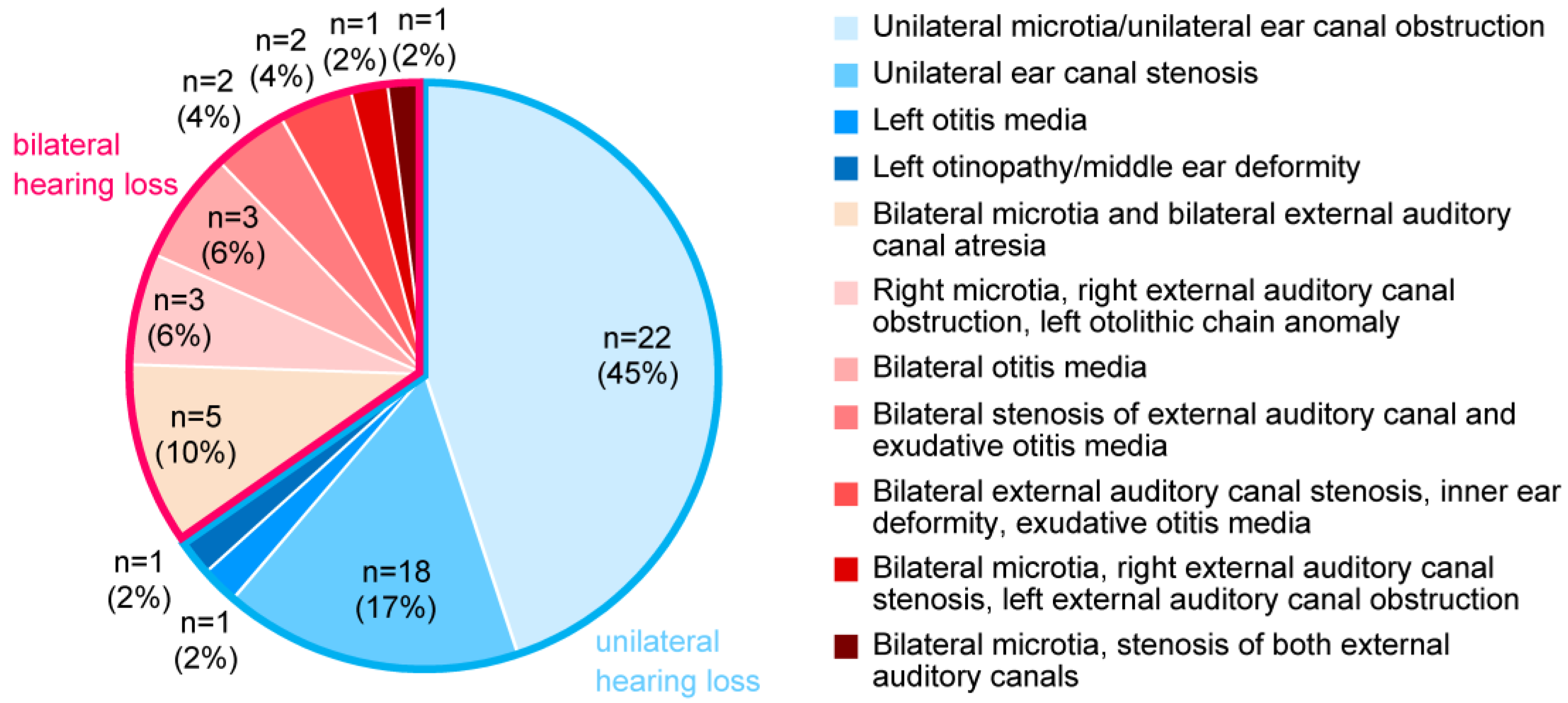 Audiolres 13 00076 g002