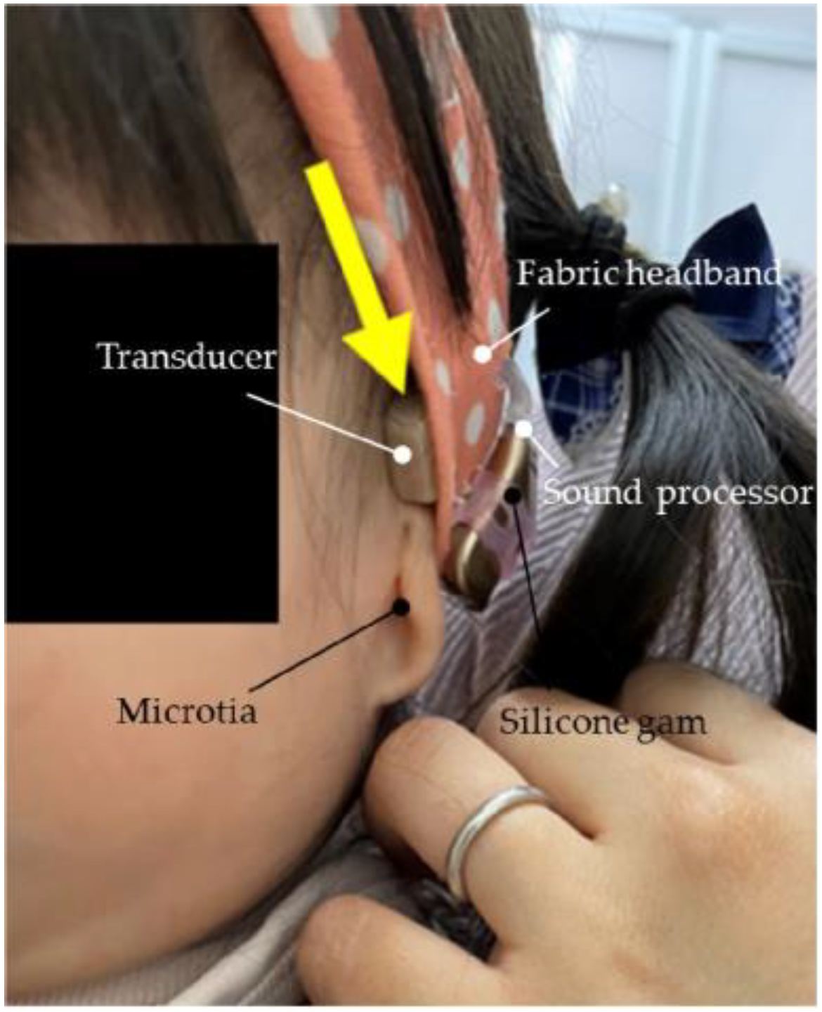 Audiolres 13 00076 g015