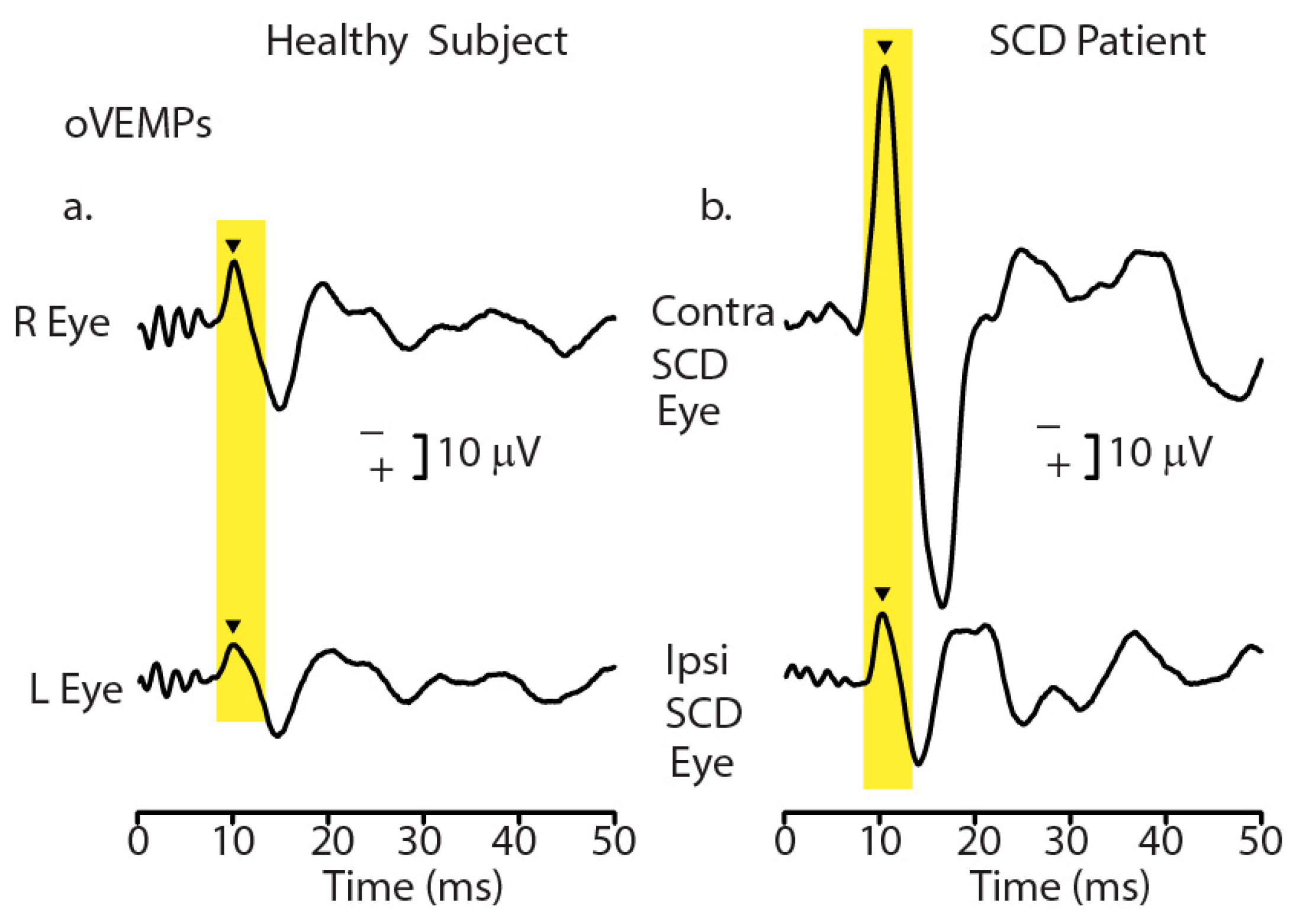 Audiolres 13 00079 g001
