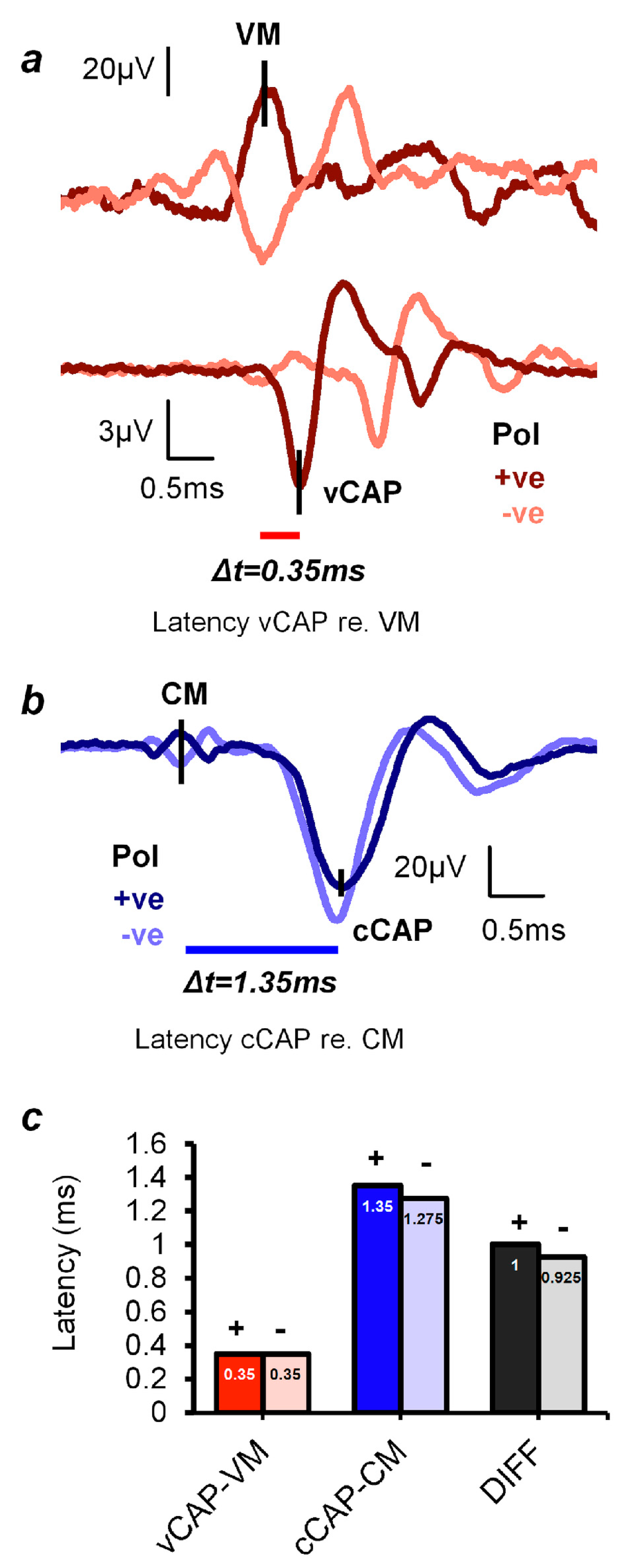 Audiolres 13 00079 g005