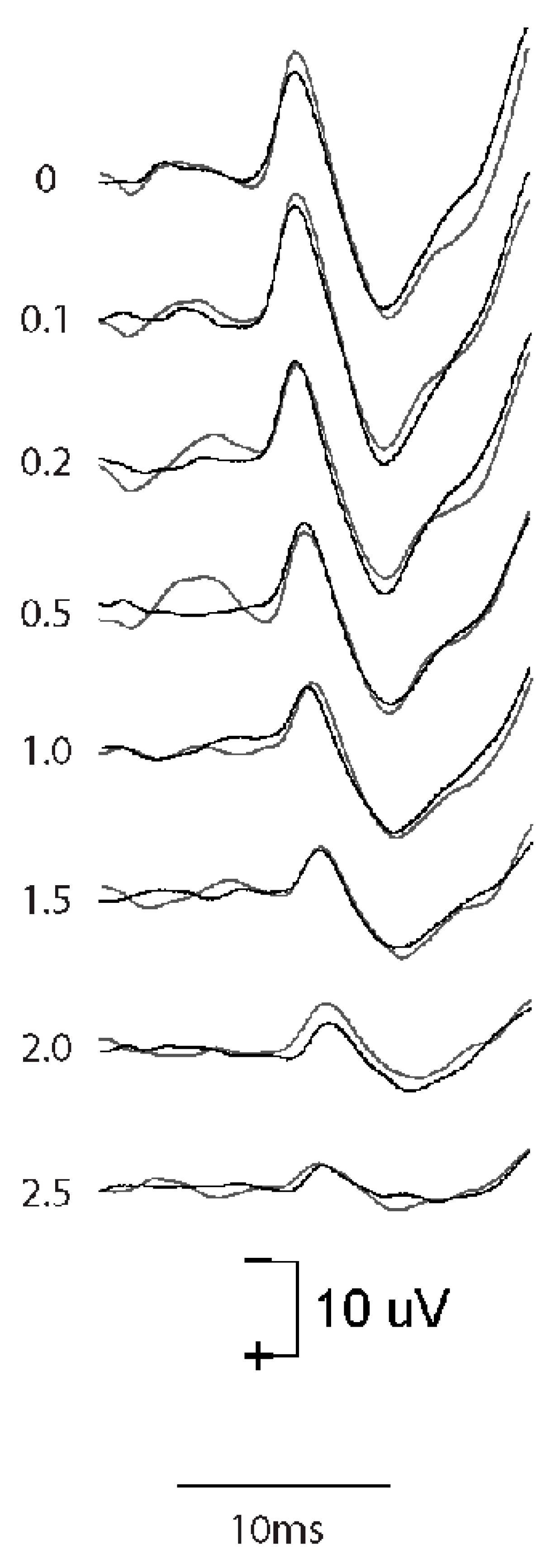 Audiolres 13 00079 g008