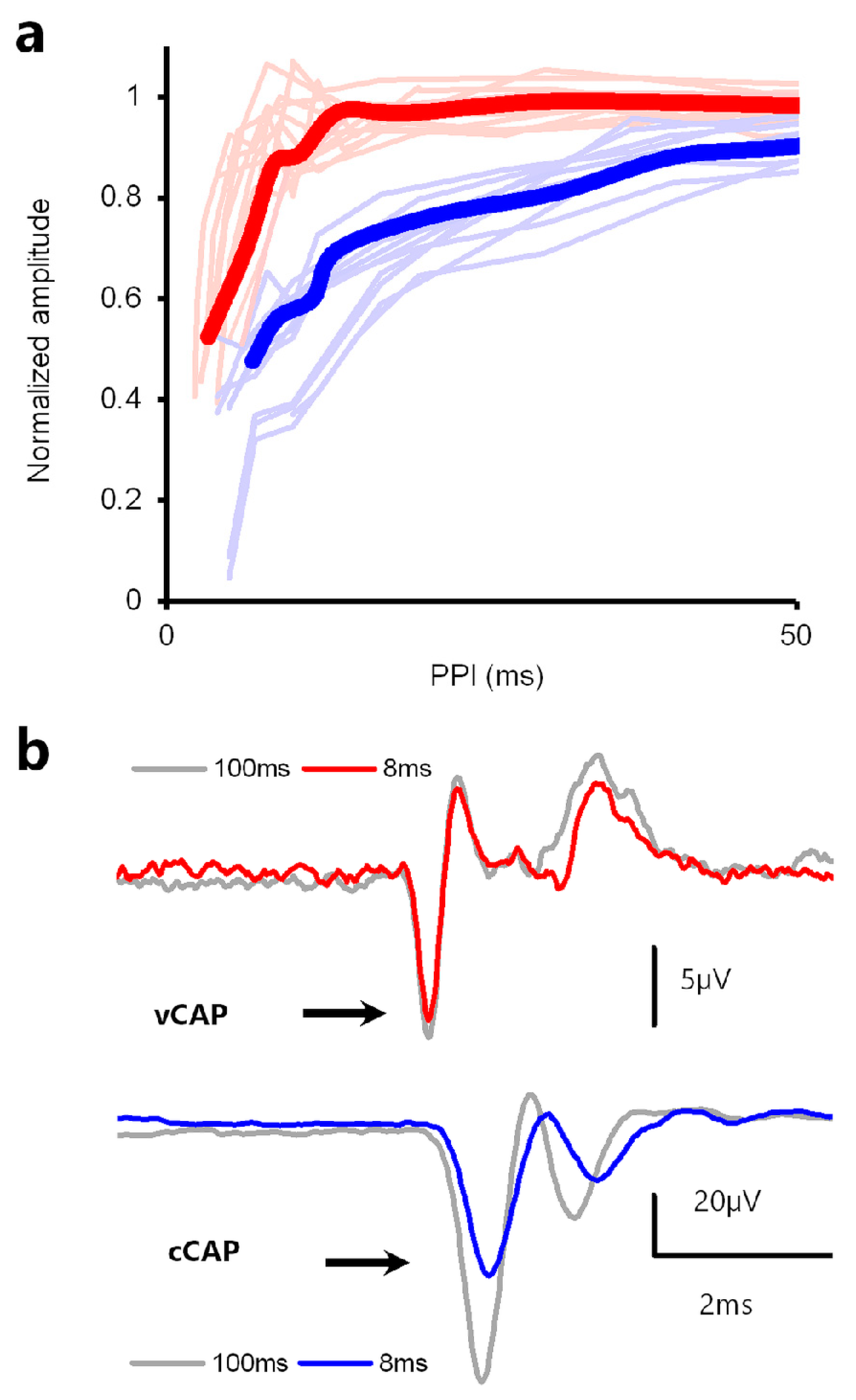 Audiolres 13 00079 g010