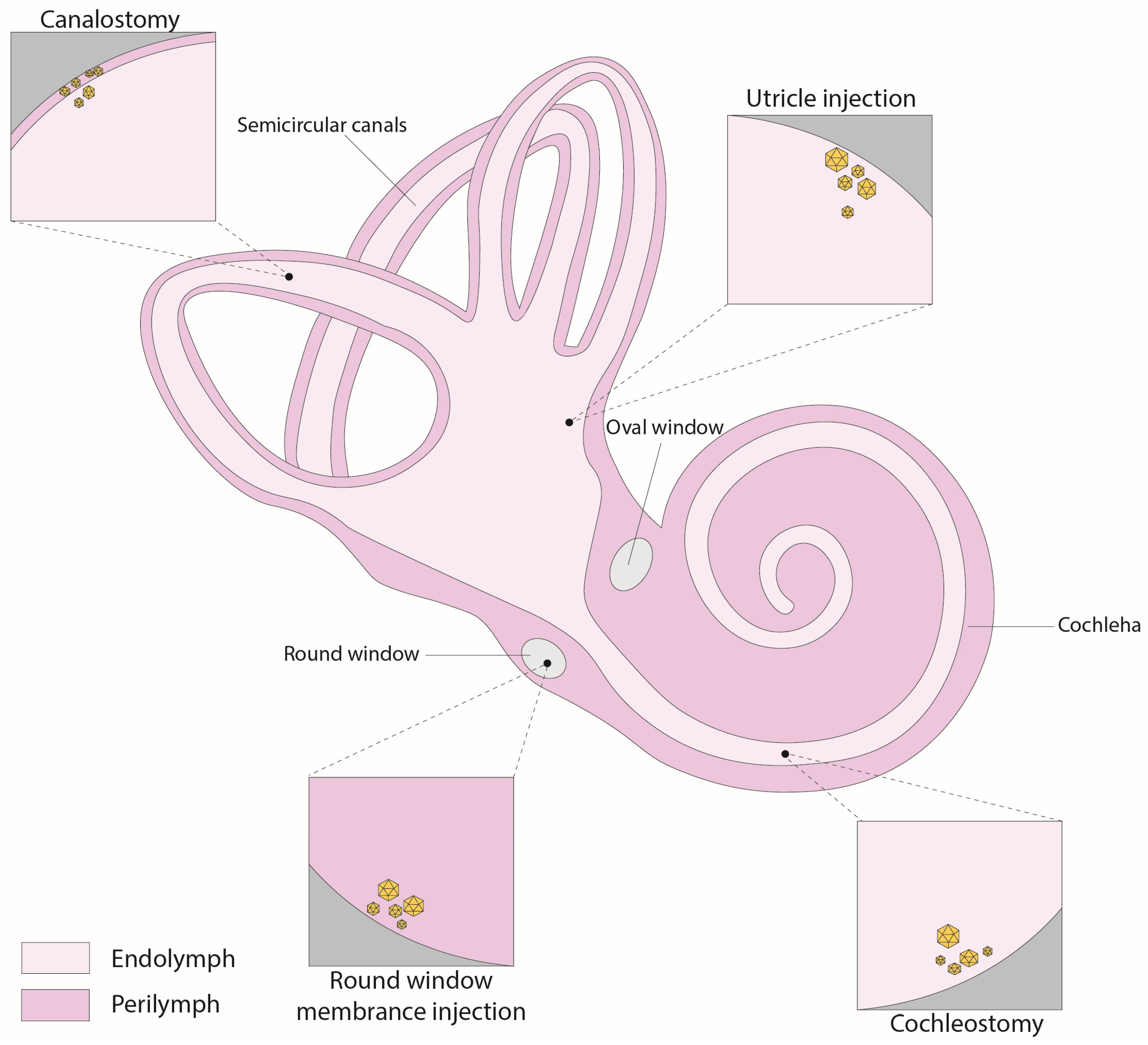 Audiolres 13 00083 g002