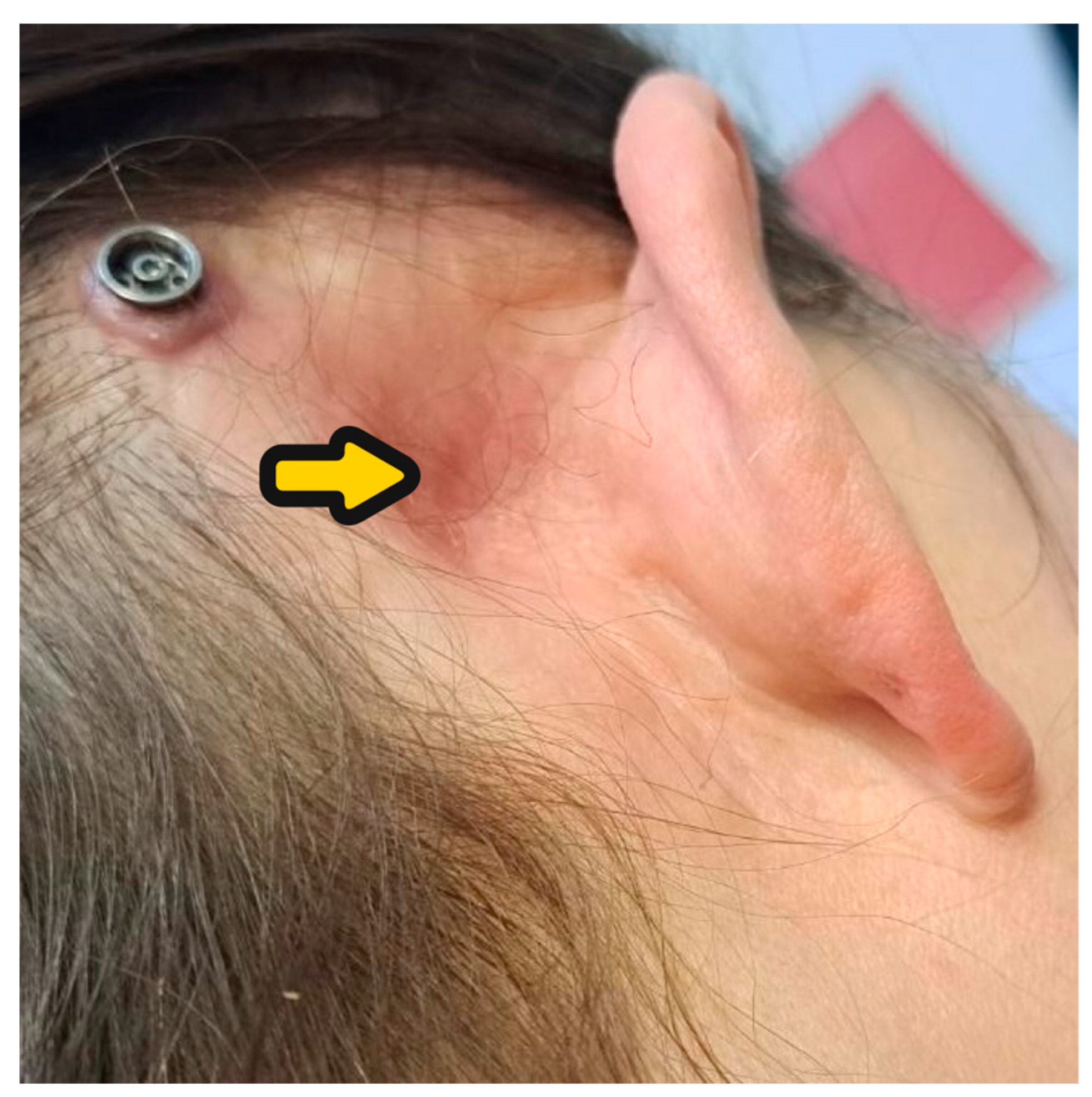 Audiolres 14 00025 g008