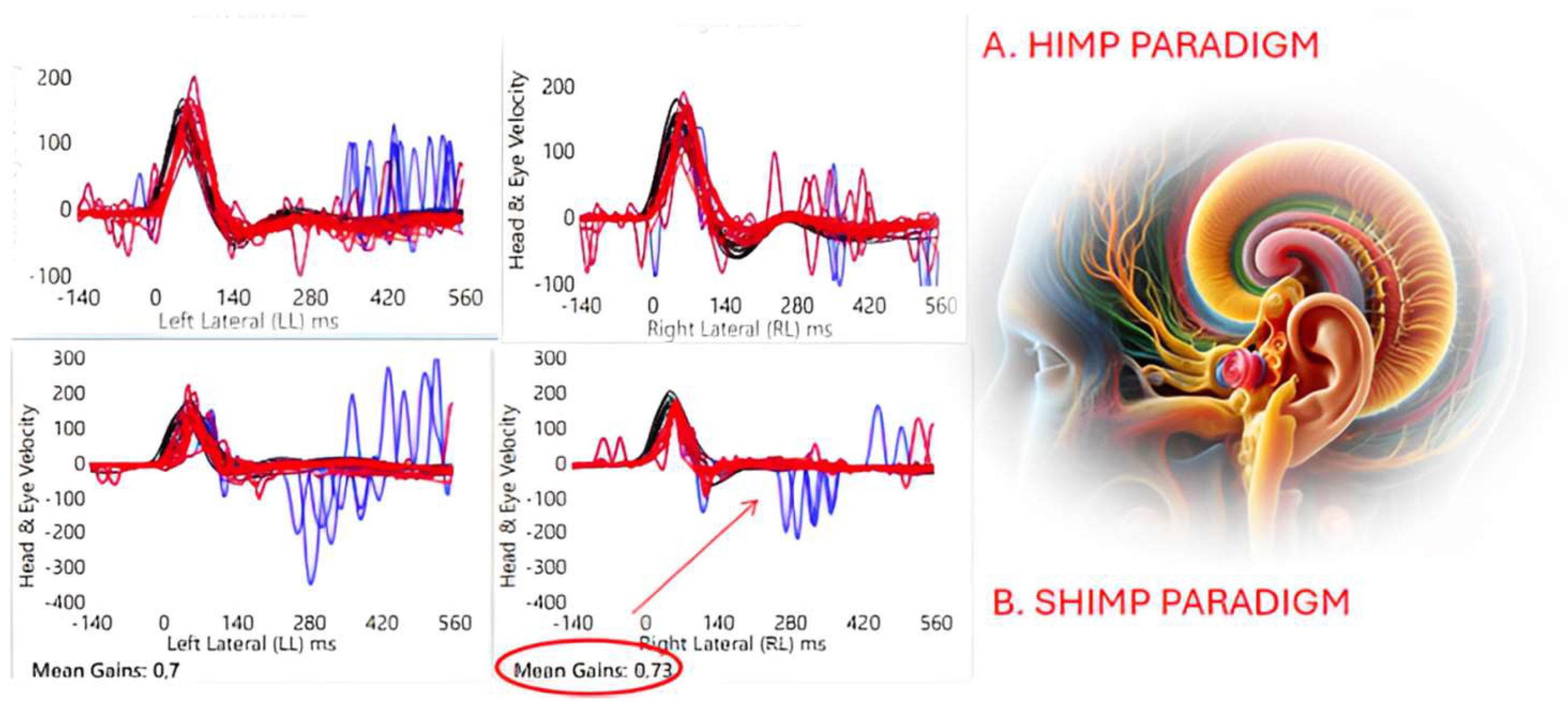 Audiolres 14 00067 g001