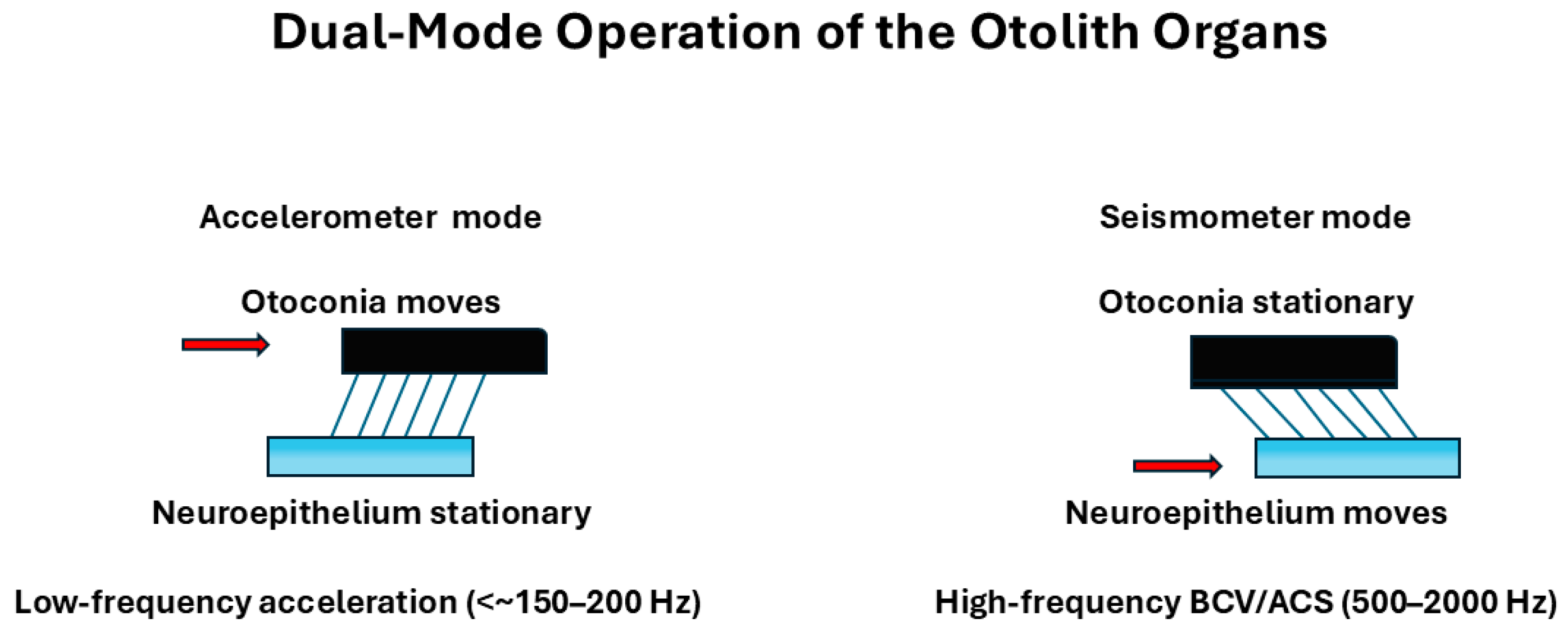 Audiolres 16 00021 g003 Audiolres 16 00021 g003