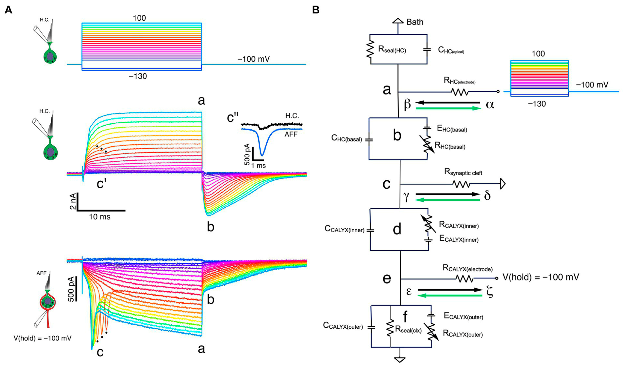 Audiolres 16 00021 g004 Audiolres 16 00021 g004