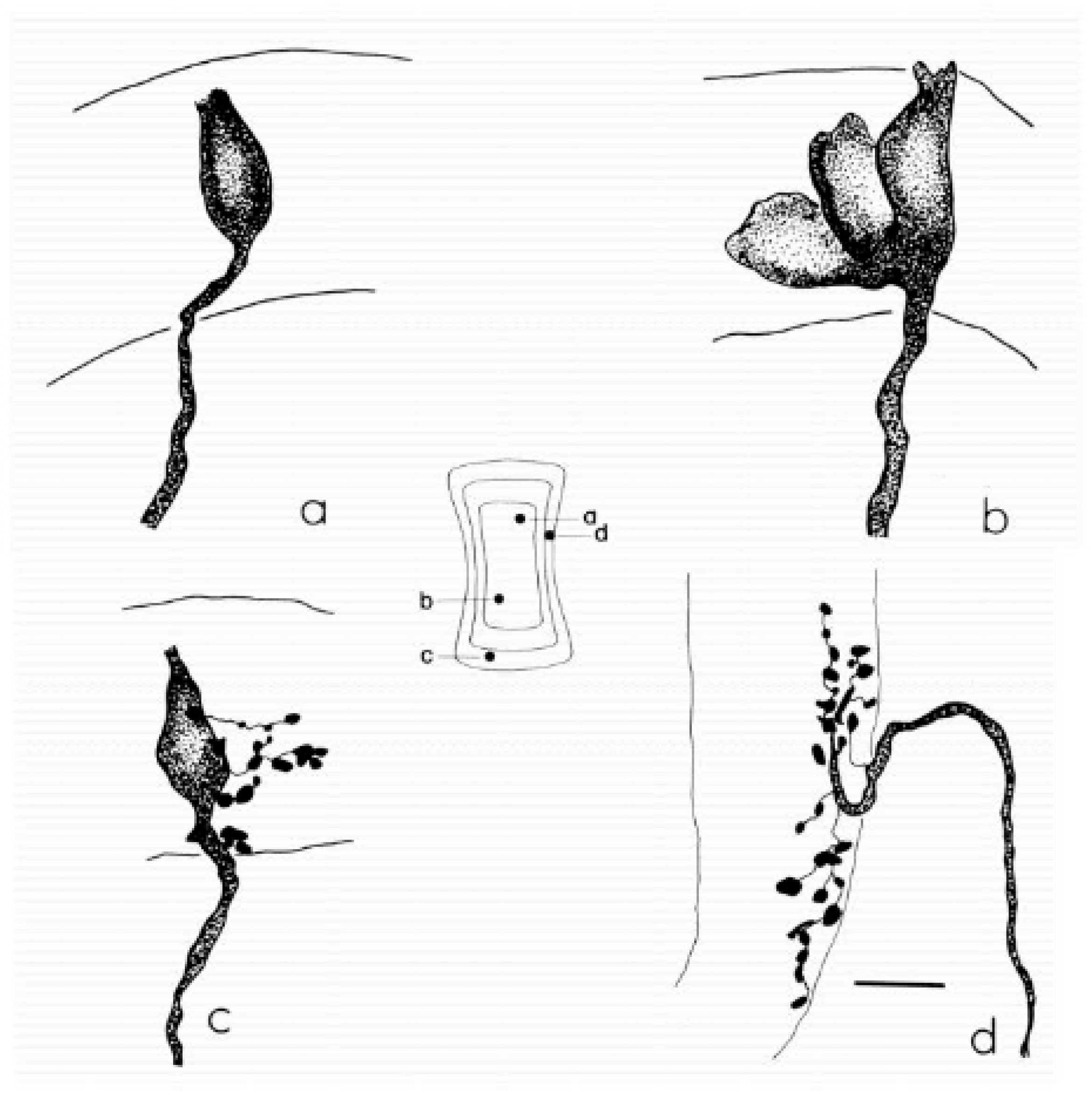 Audiolres 16 00021 g005 Audiolres 16 00021 g005