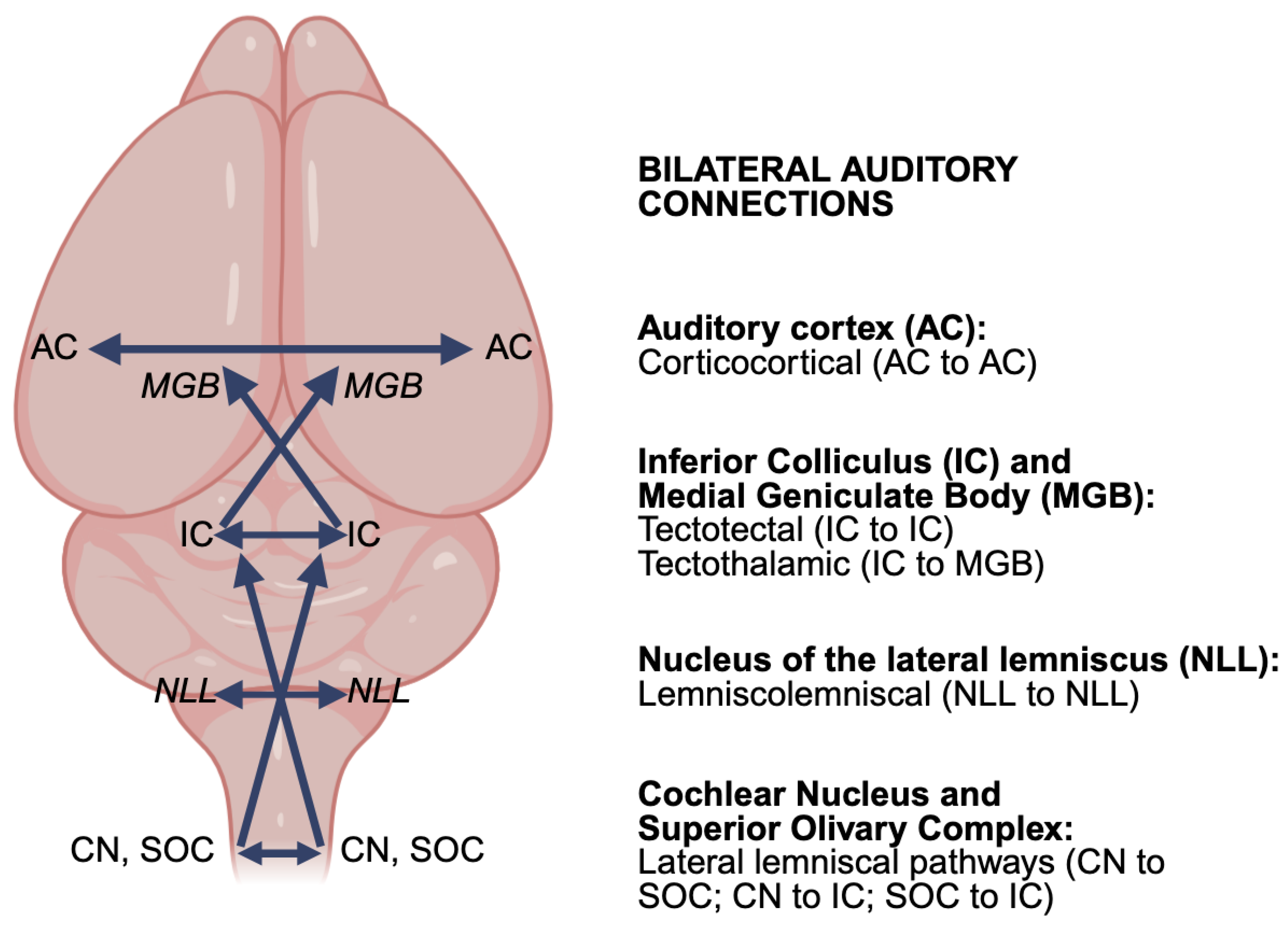 Audiolres 16 00034 g001