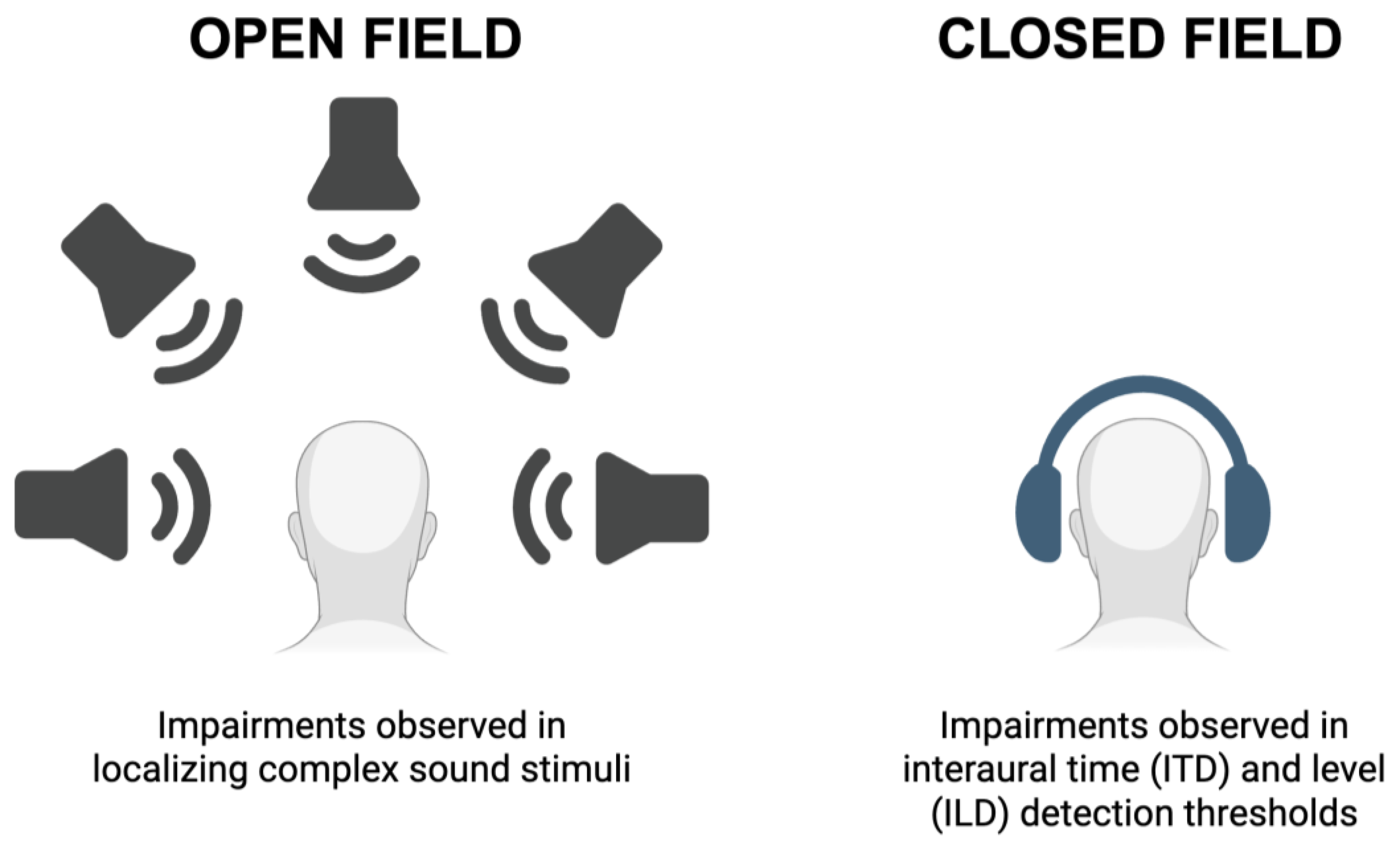 Audiolres 16 00034 g002