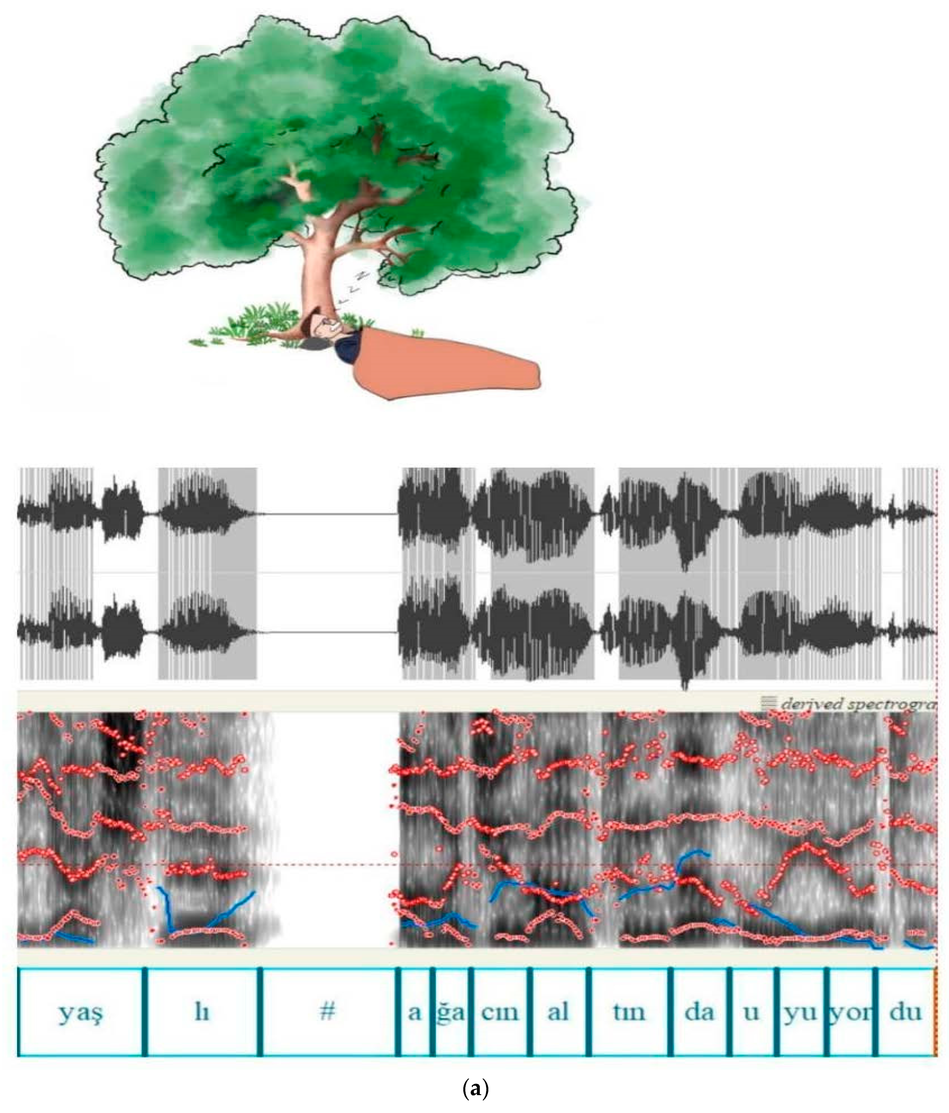Audiolres 16 00099 g001a Audiolres 16 00099 g001a