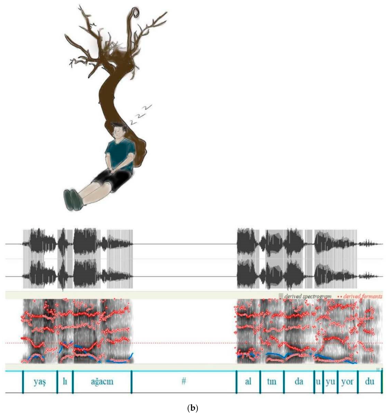 Audiolres 16 00099 g001b Audiolres 16 00099 g001b
