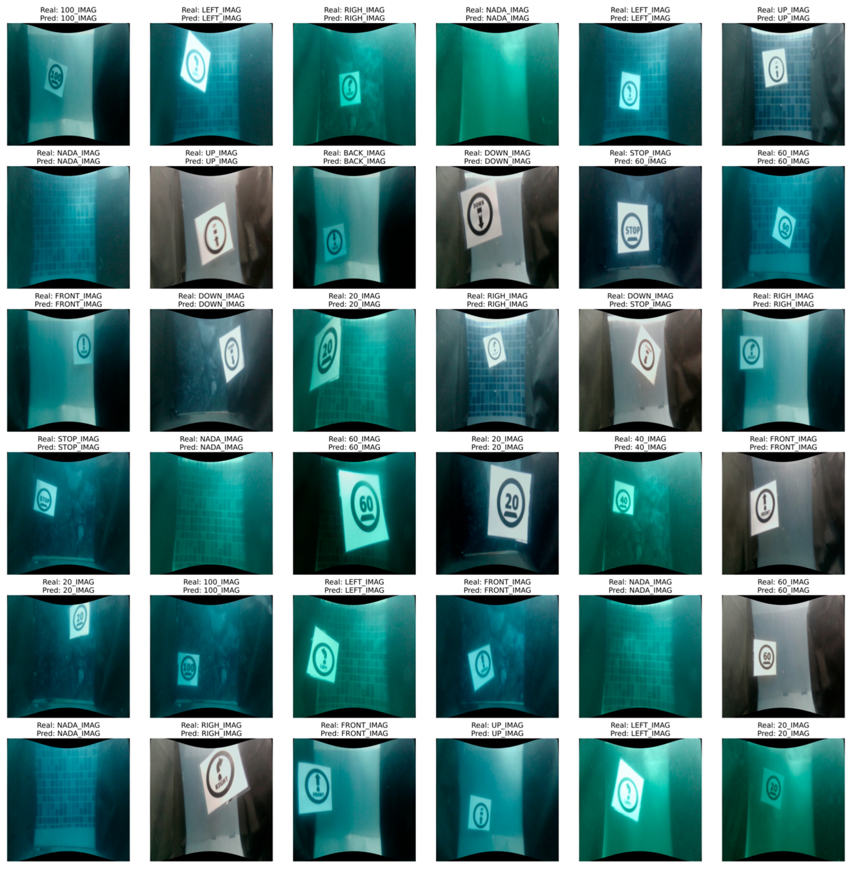 Automation 06 00051 g006