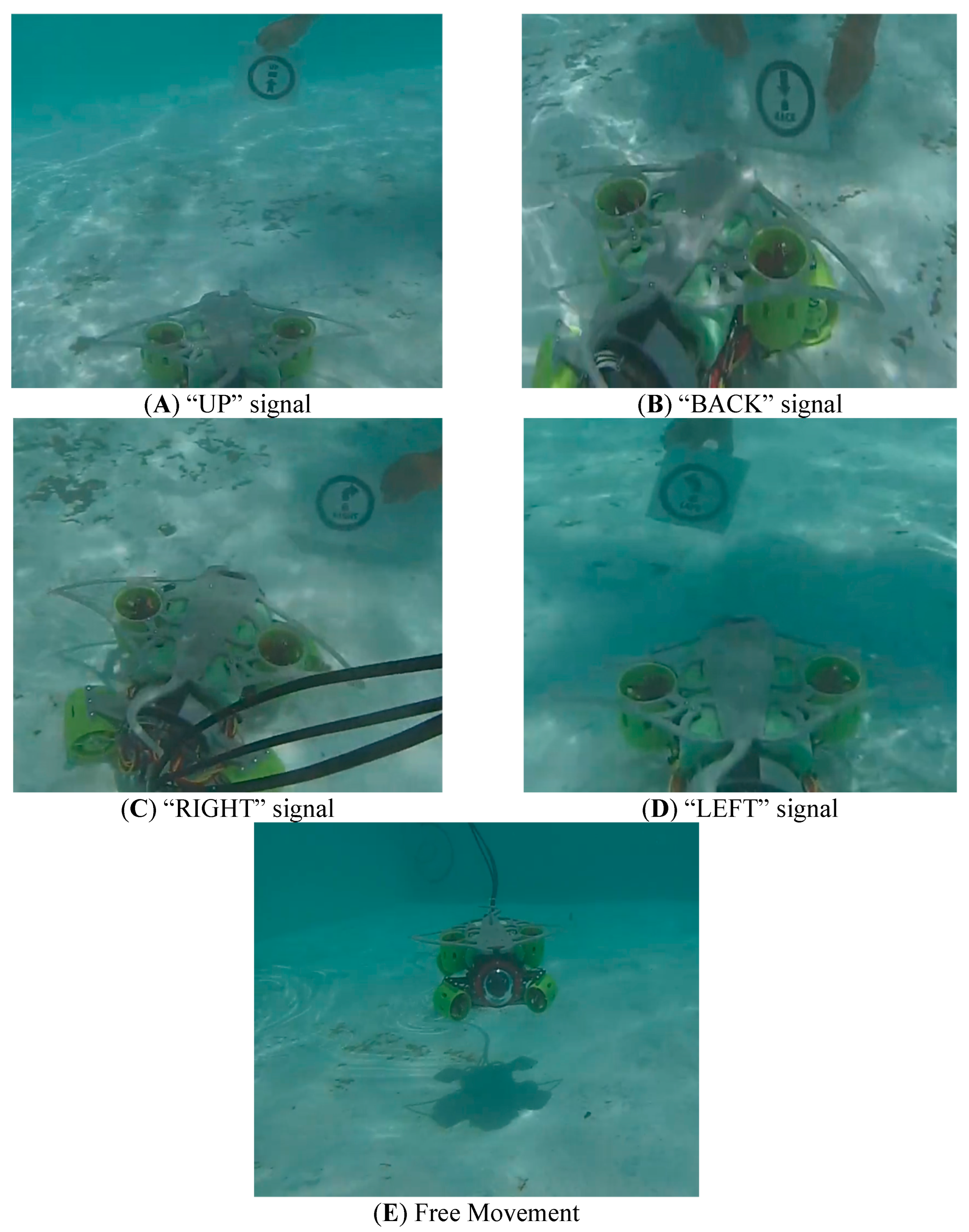 Automation 06 00051 g010