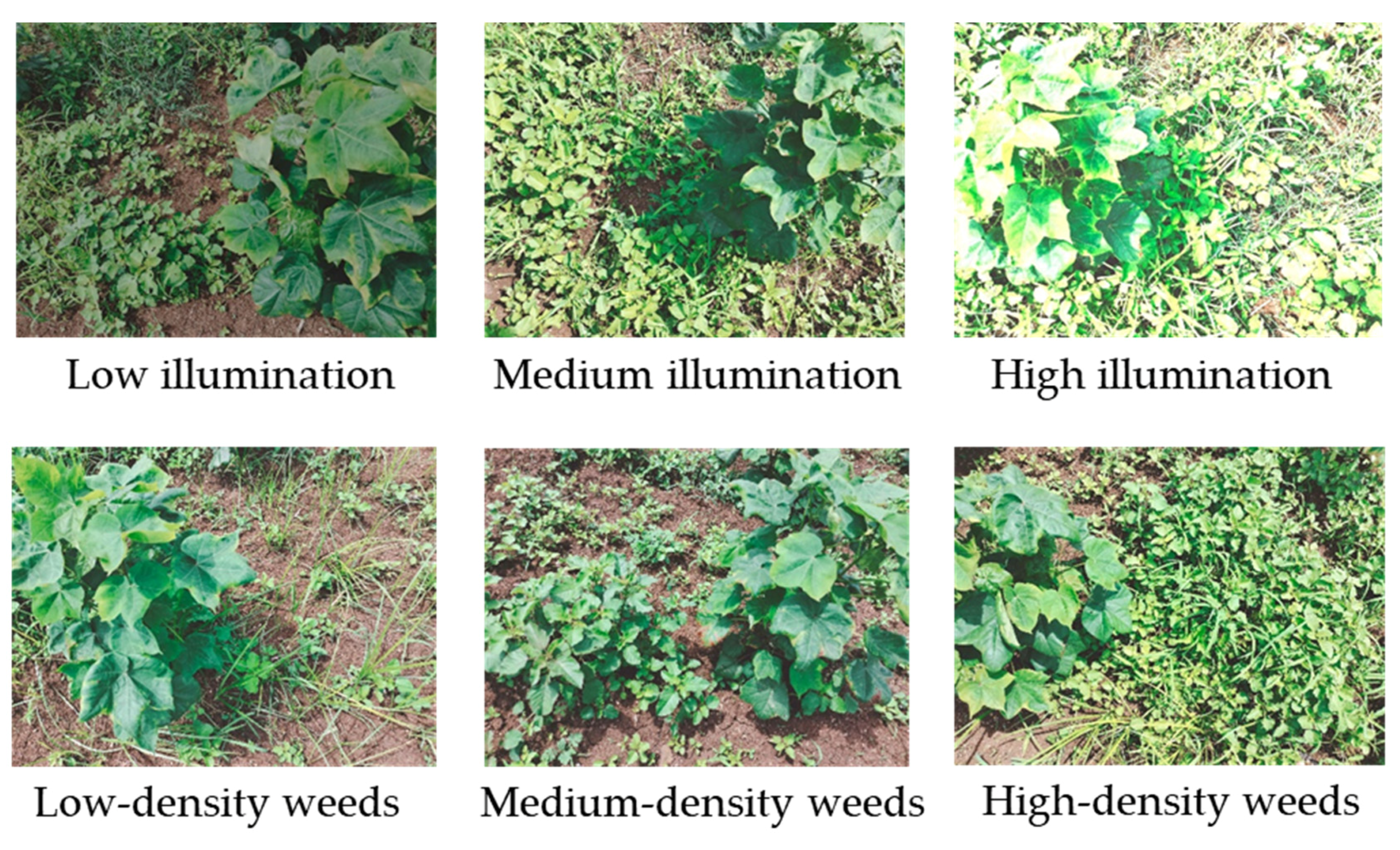 Automation 06 00053 g001