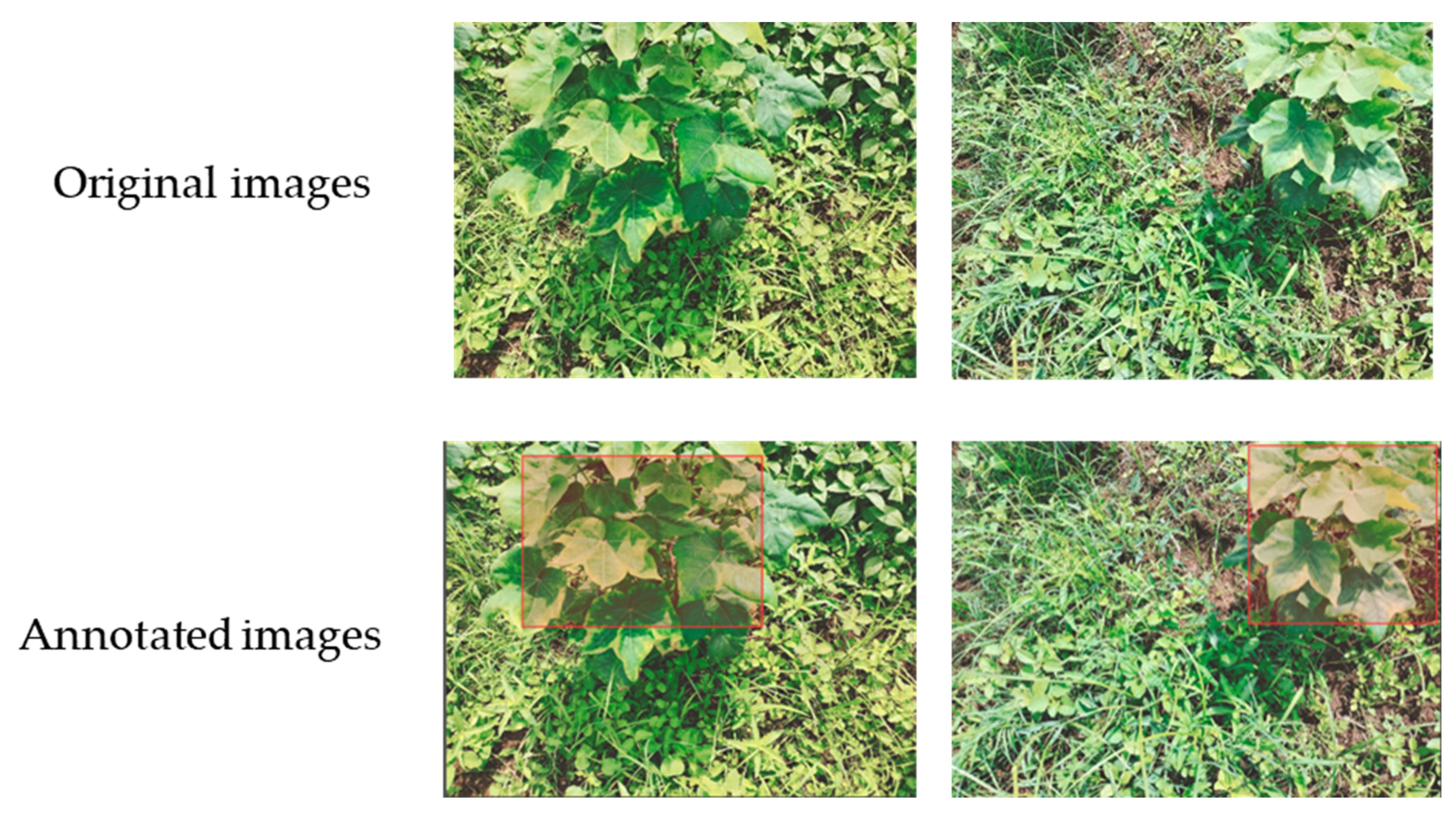 Automation 06 00053 g002