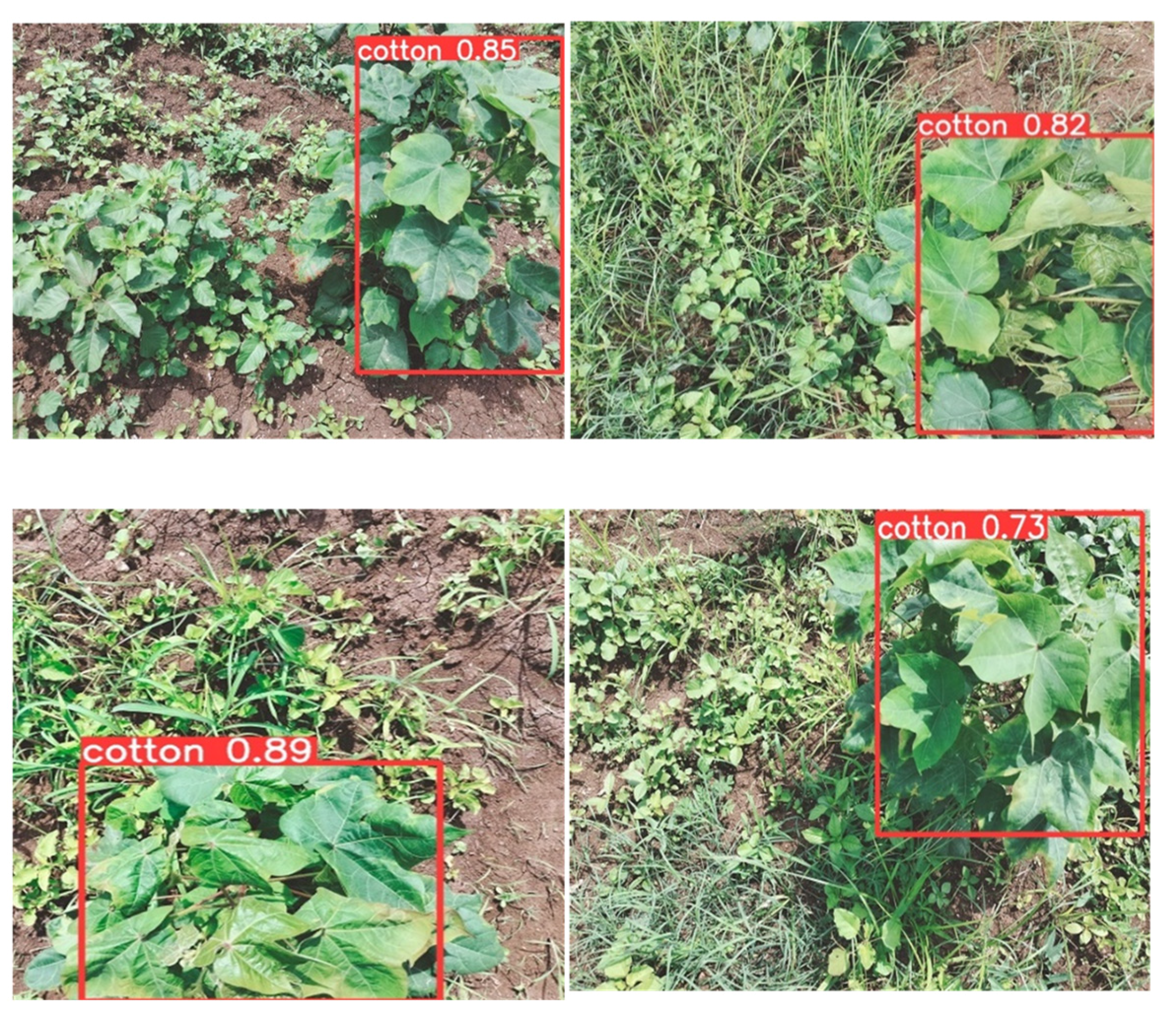 Automation 06 00053 g005