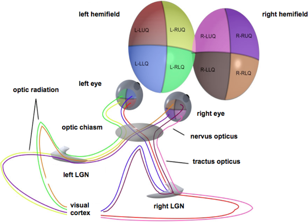 Axioms 03 00070 g001 1024