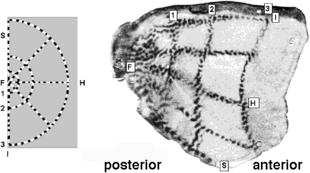 Axioms 03 00070 g003 1024
