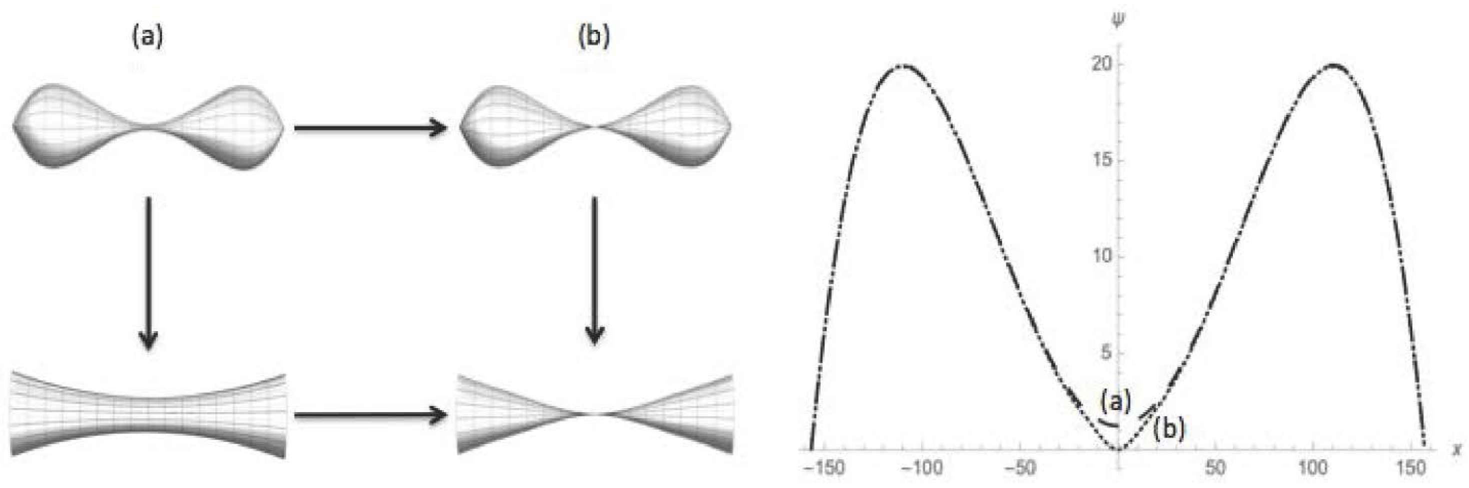 Axioms 06 00024 g007