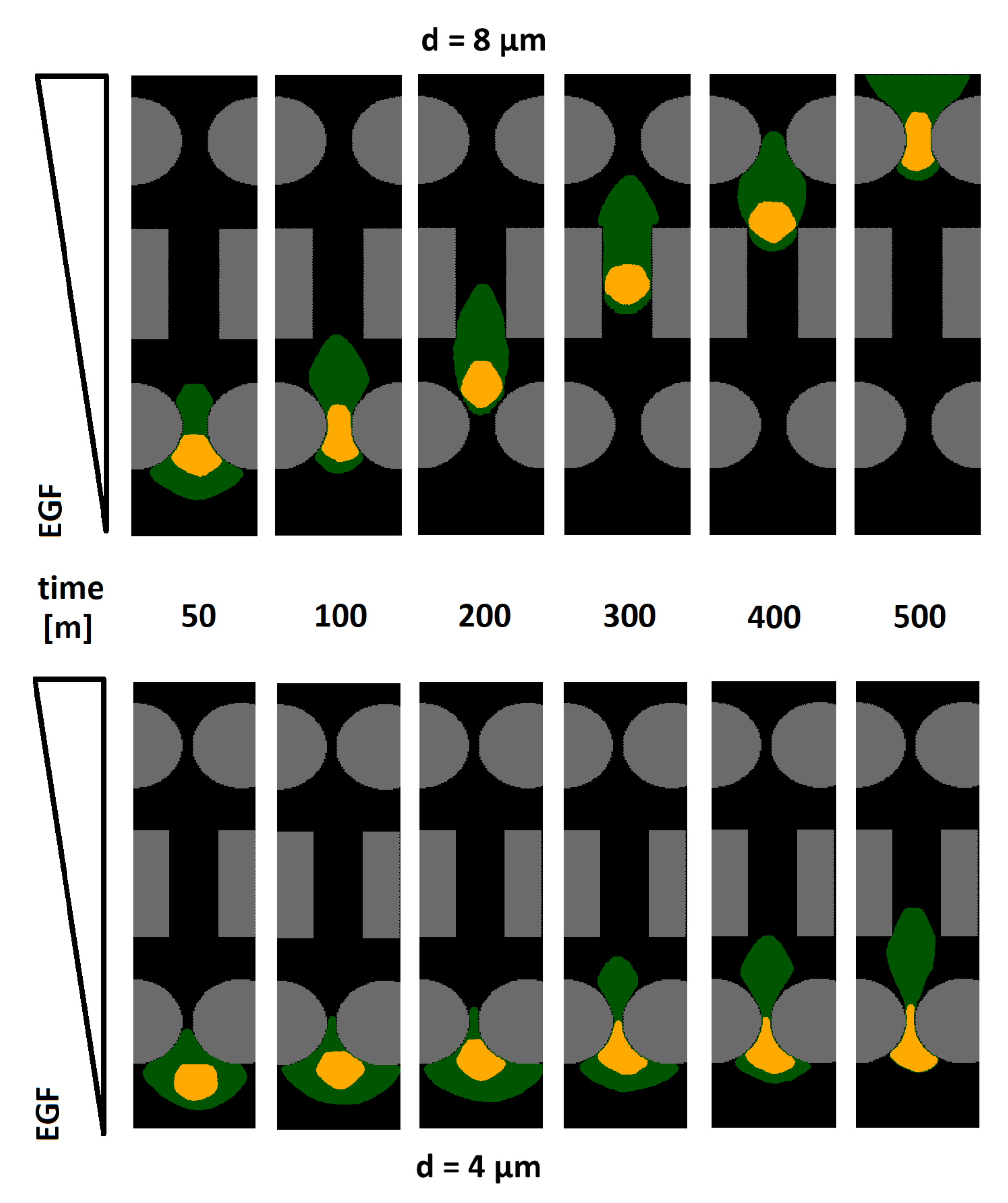 Axioms 10 00032 g003