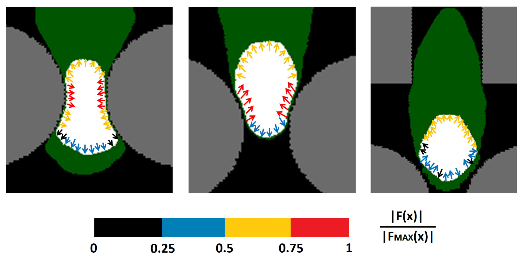 Axioms 10 00032 g005
