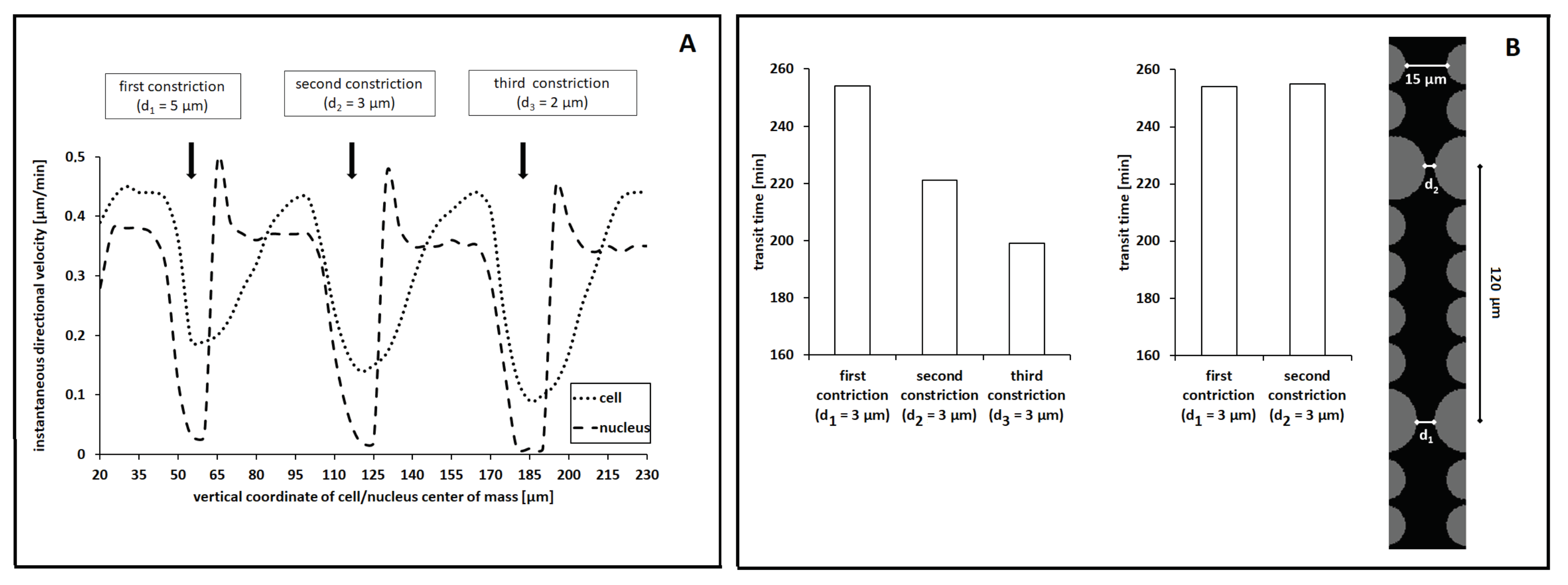 Axioms 10 00032 g009