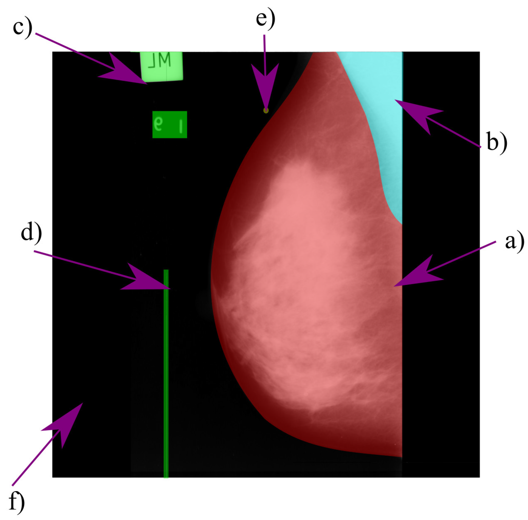 Axioms 10 00180 g013