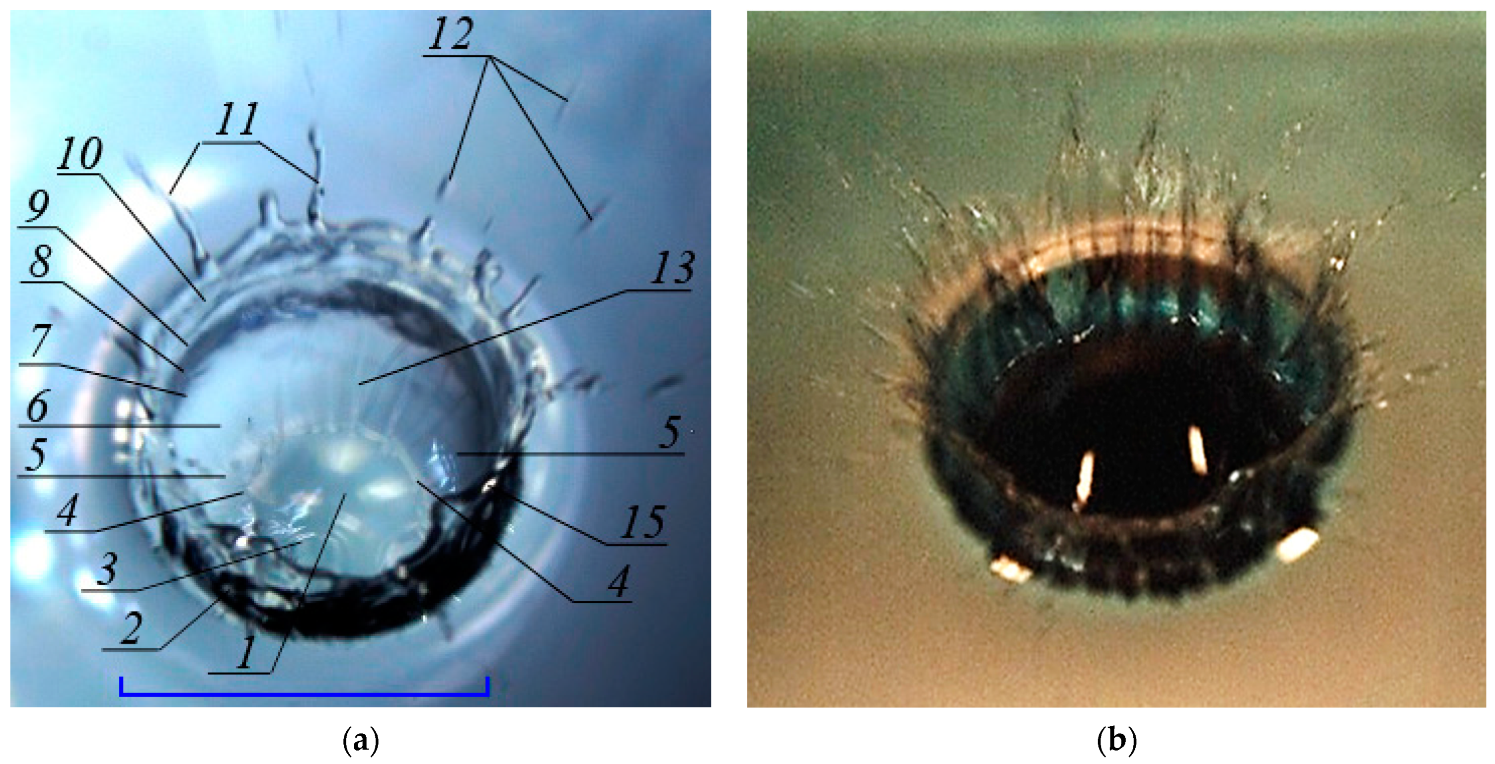 Axioms 10 00286 g007