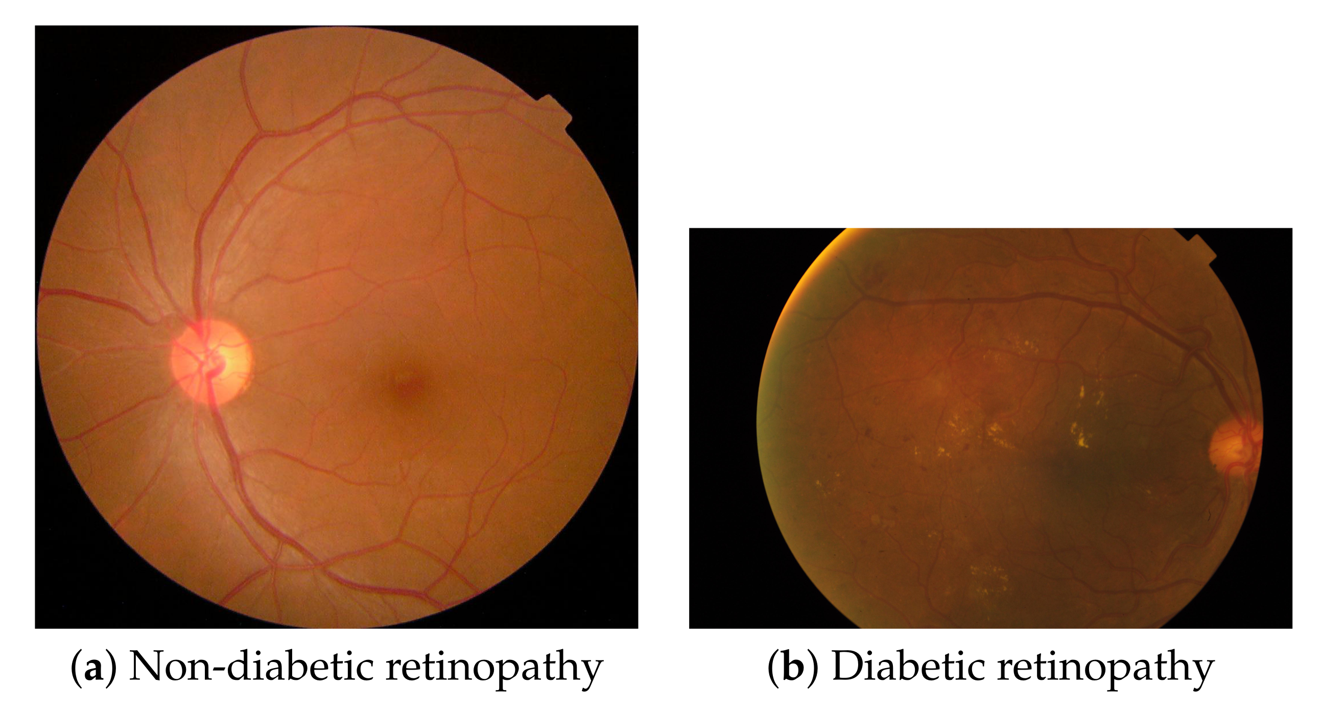 Axioms 11 00112 g005