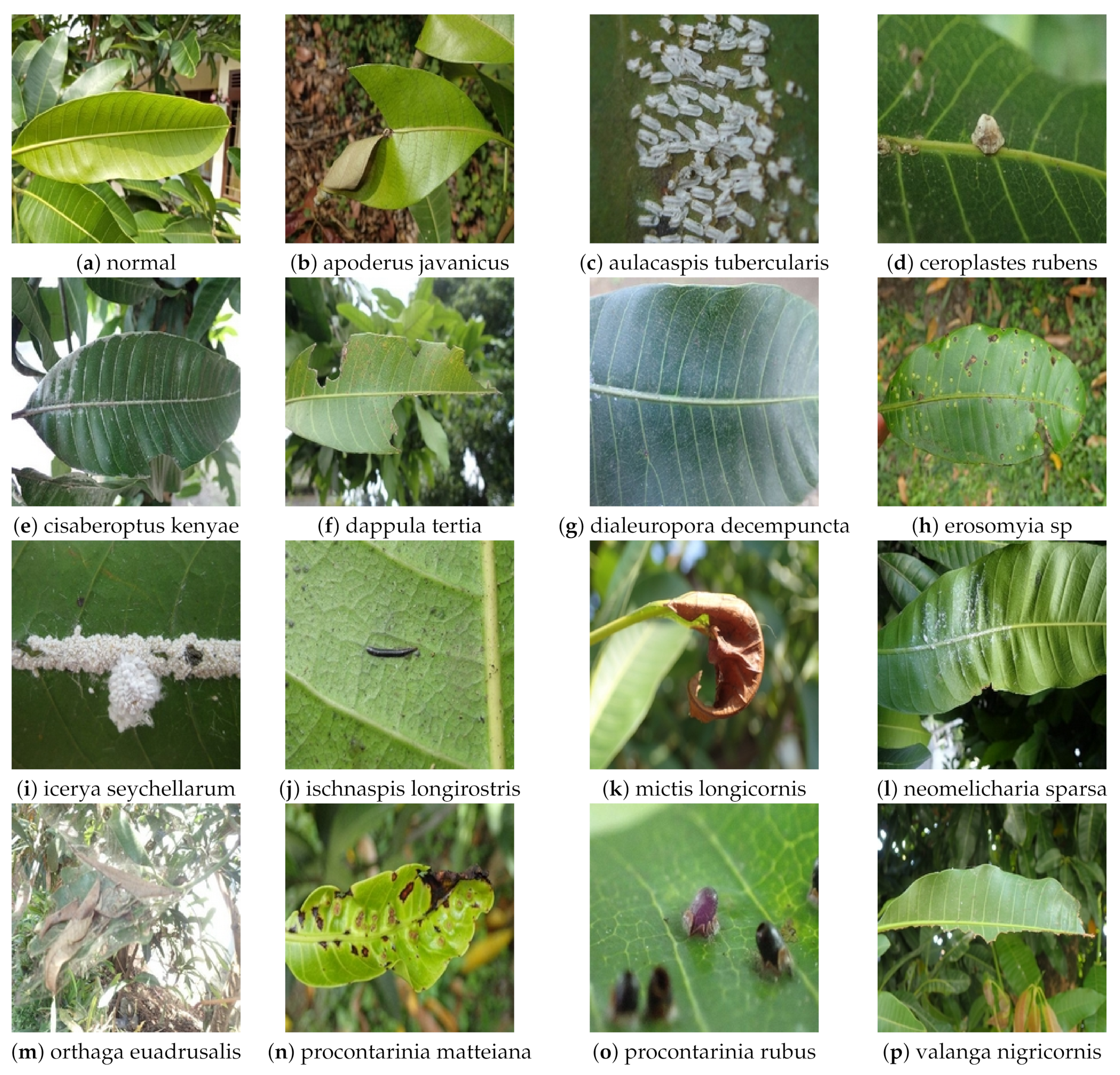 Axioms 11 00112 g007